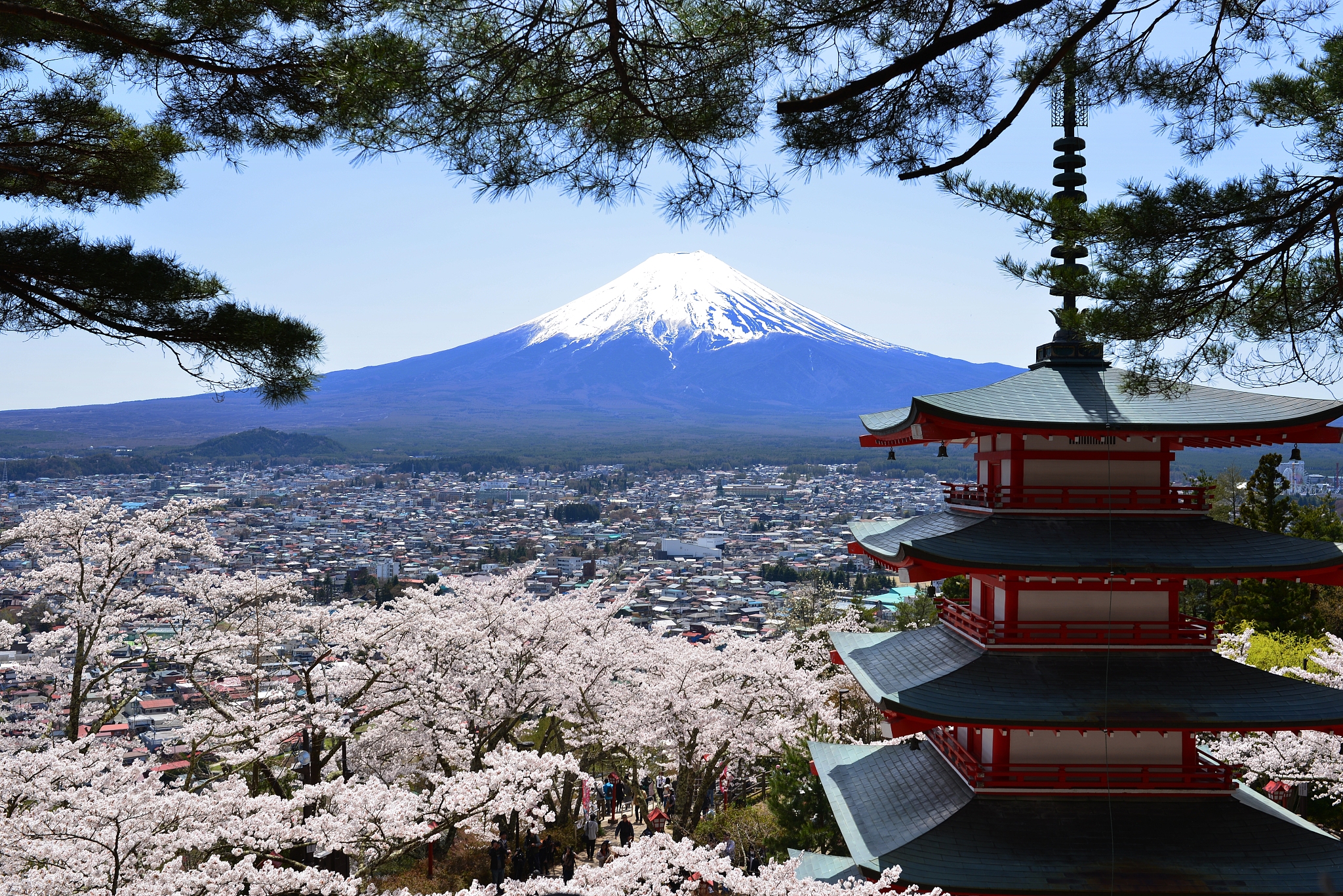日本旅游攻略：必去景点推荐