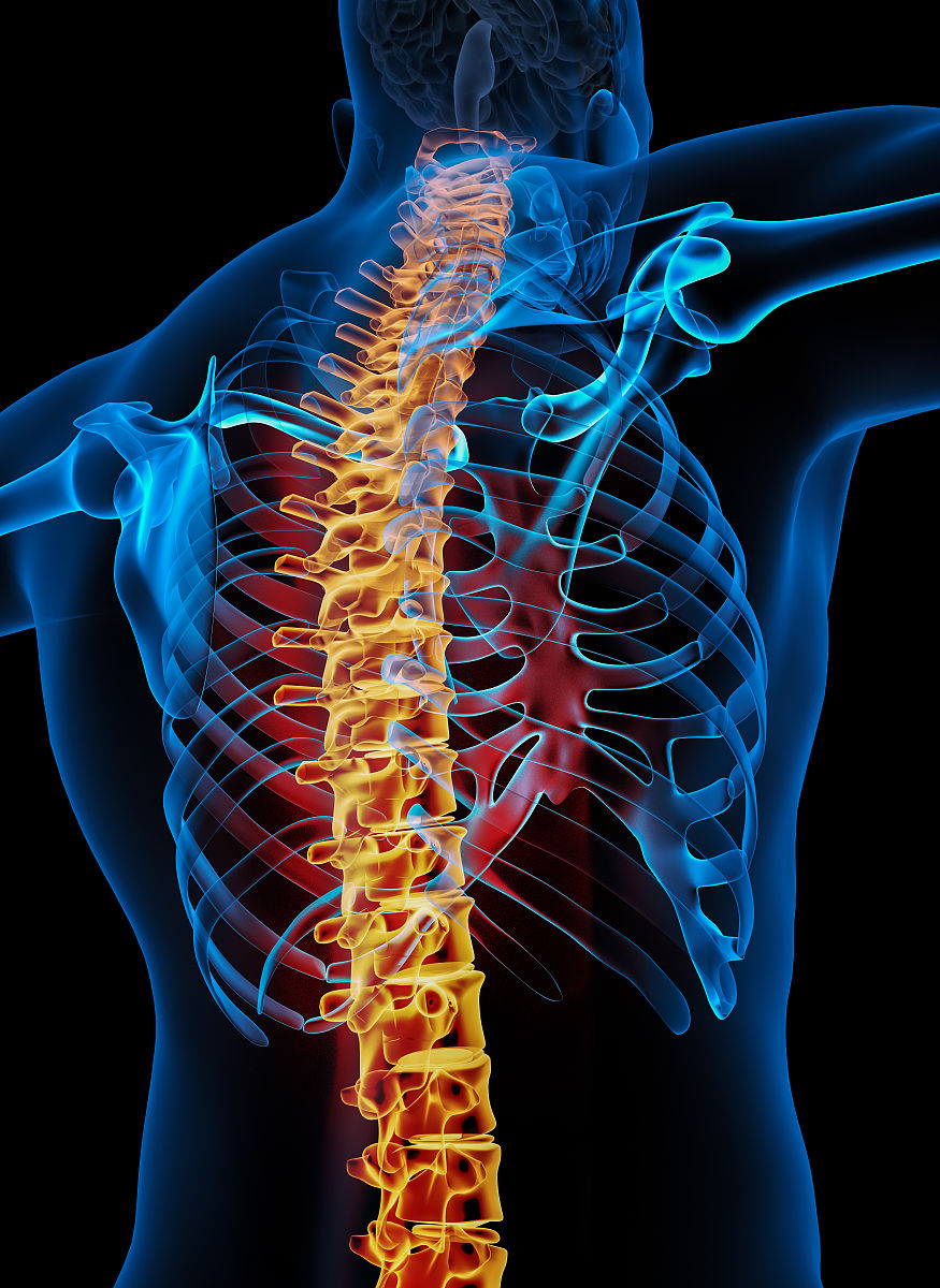 有齿突的椎骨是