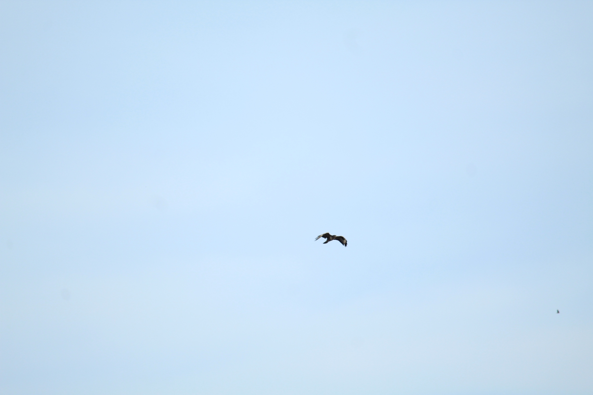 形容迁徙的绝句。