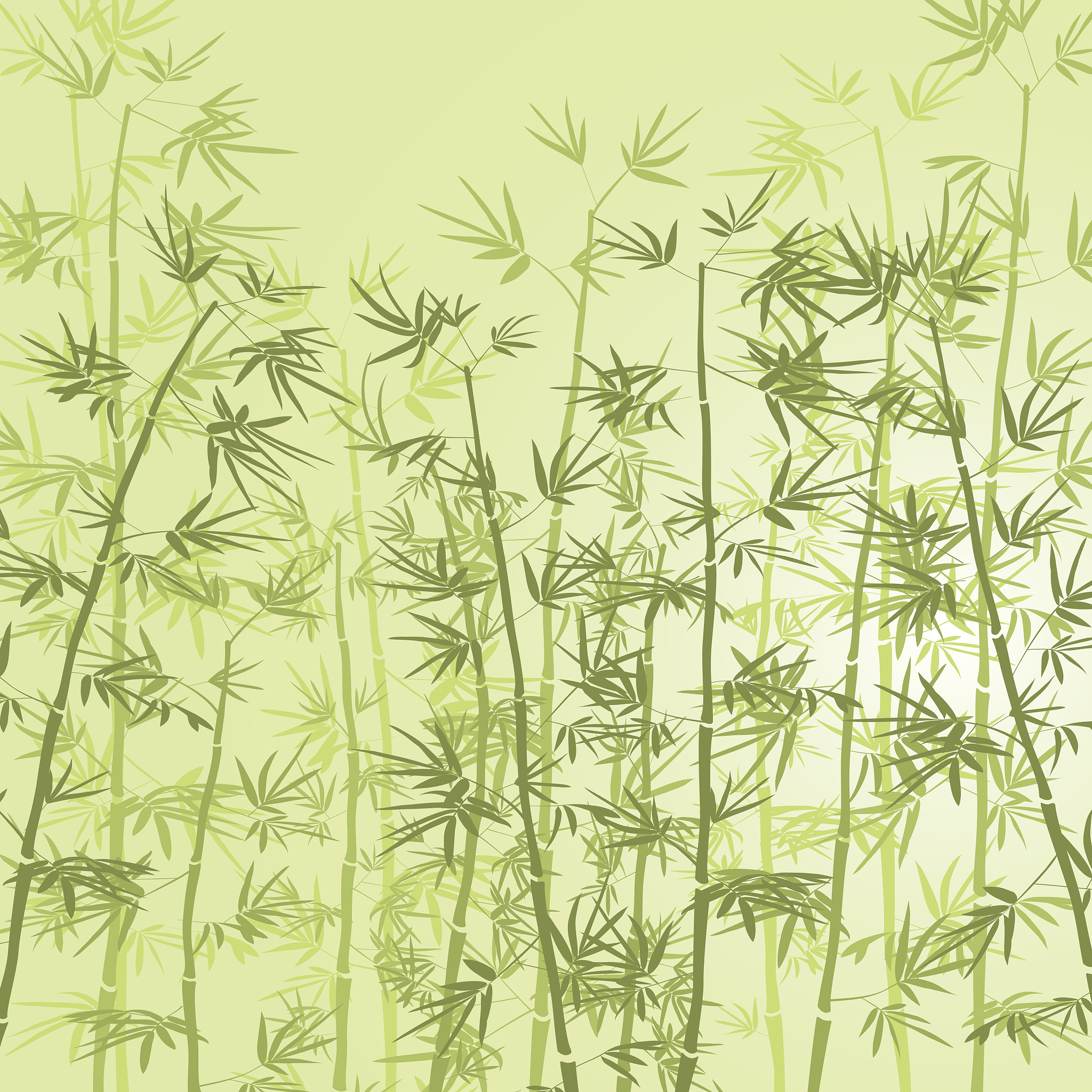 竹子：自然之宝，文化之魂