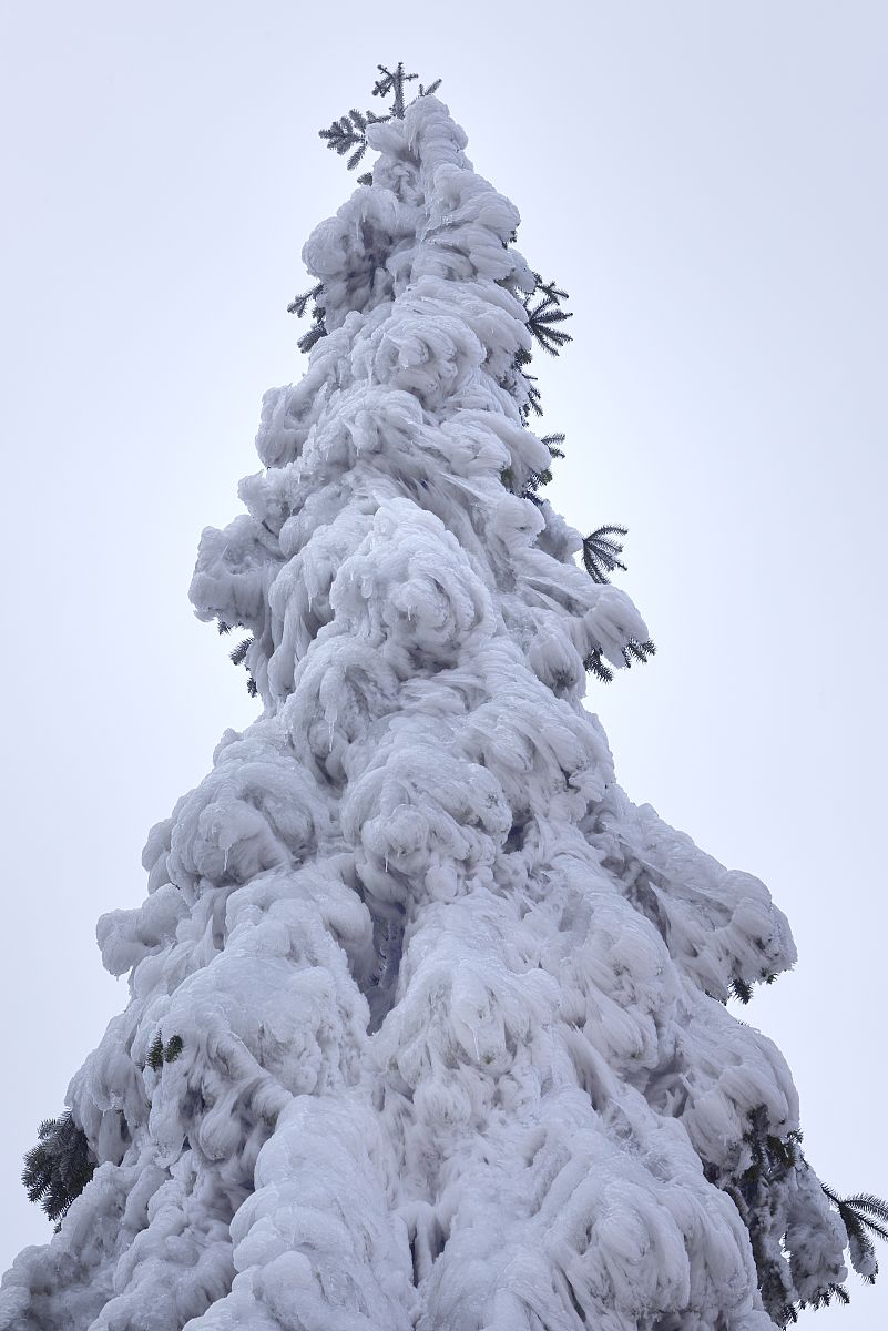 心中住可以怎么押韵？