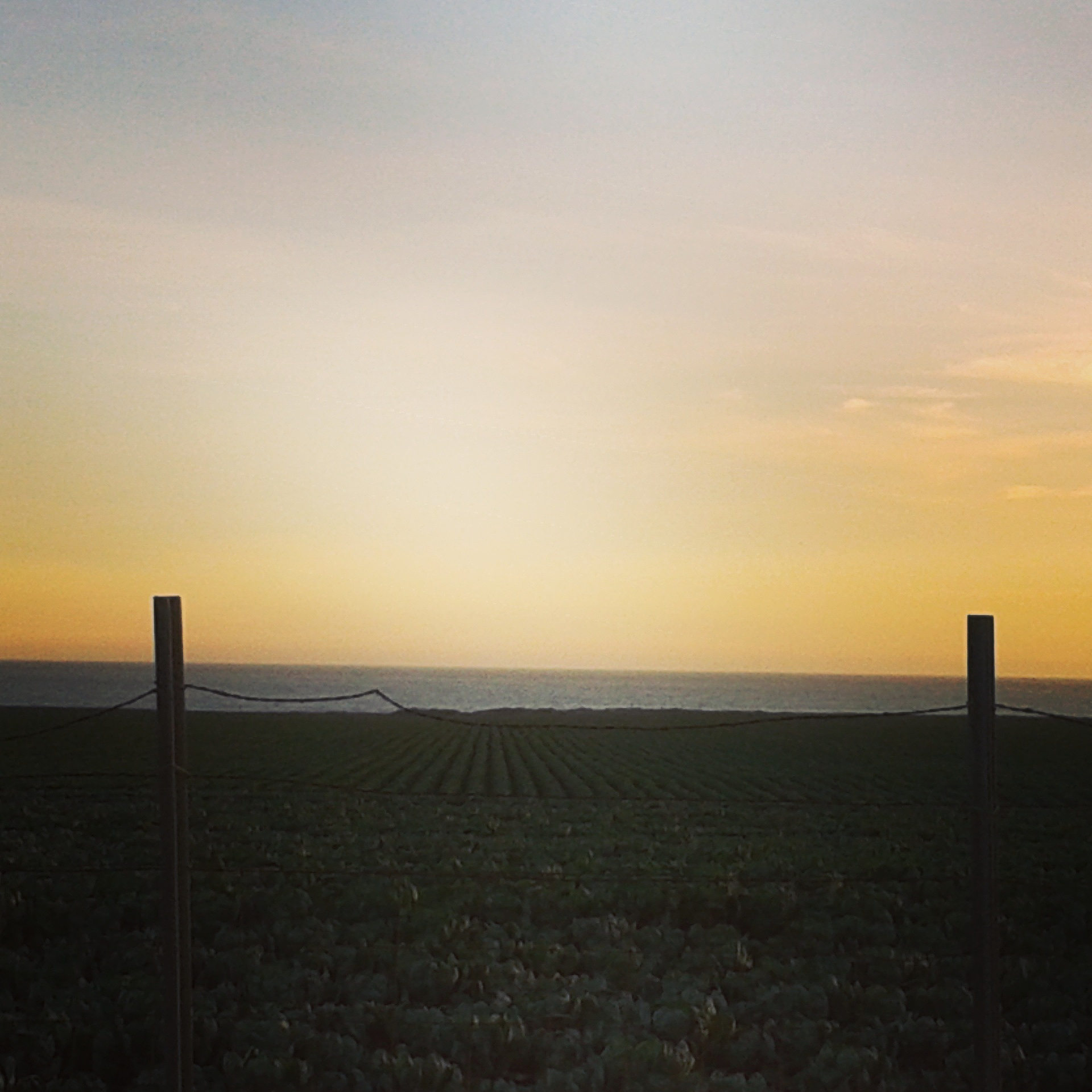 我需要十个好听的非主流的游戏ID不要4个字的不要带之字的