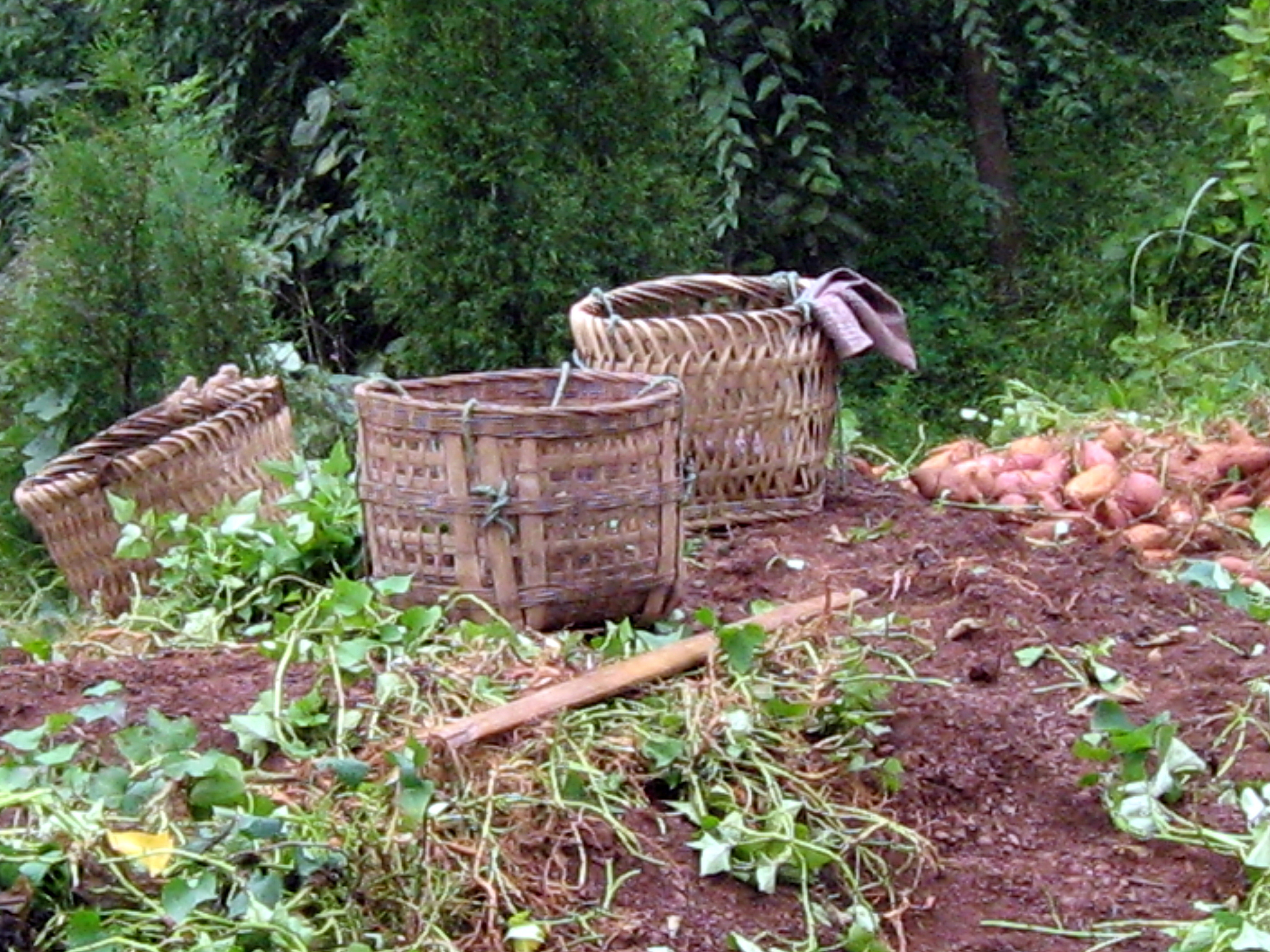四川计算机应用专业中专中职学校推荐 - 学习计算机应用的优质选择