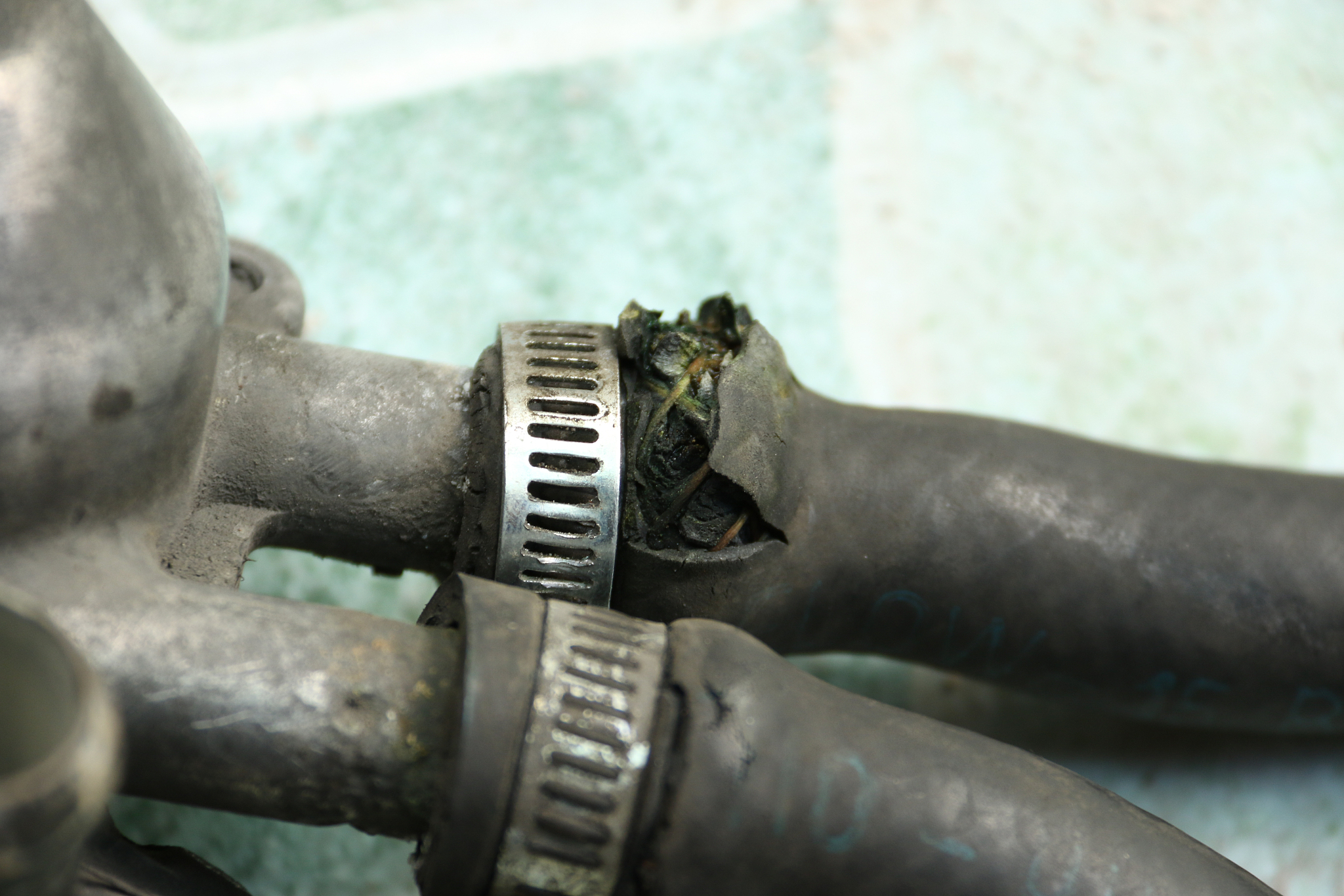 疾世是什么意思_词语疾世的意思