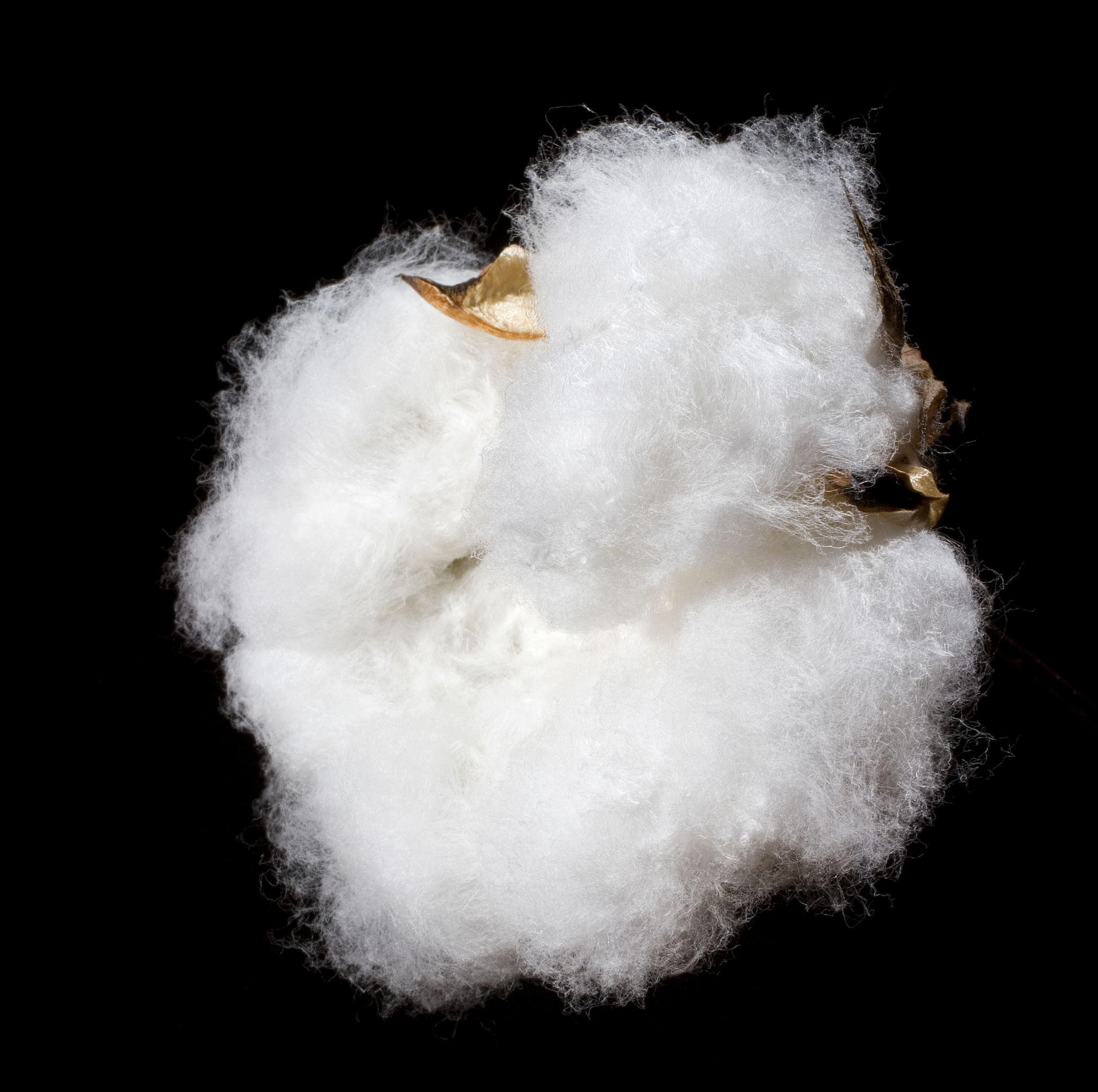 天然纤维种类：棉花、亚麻、羊毛、丝绸等