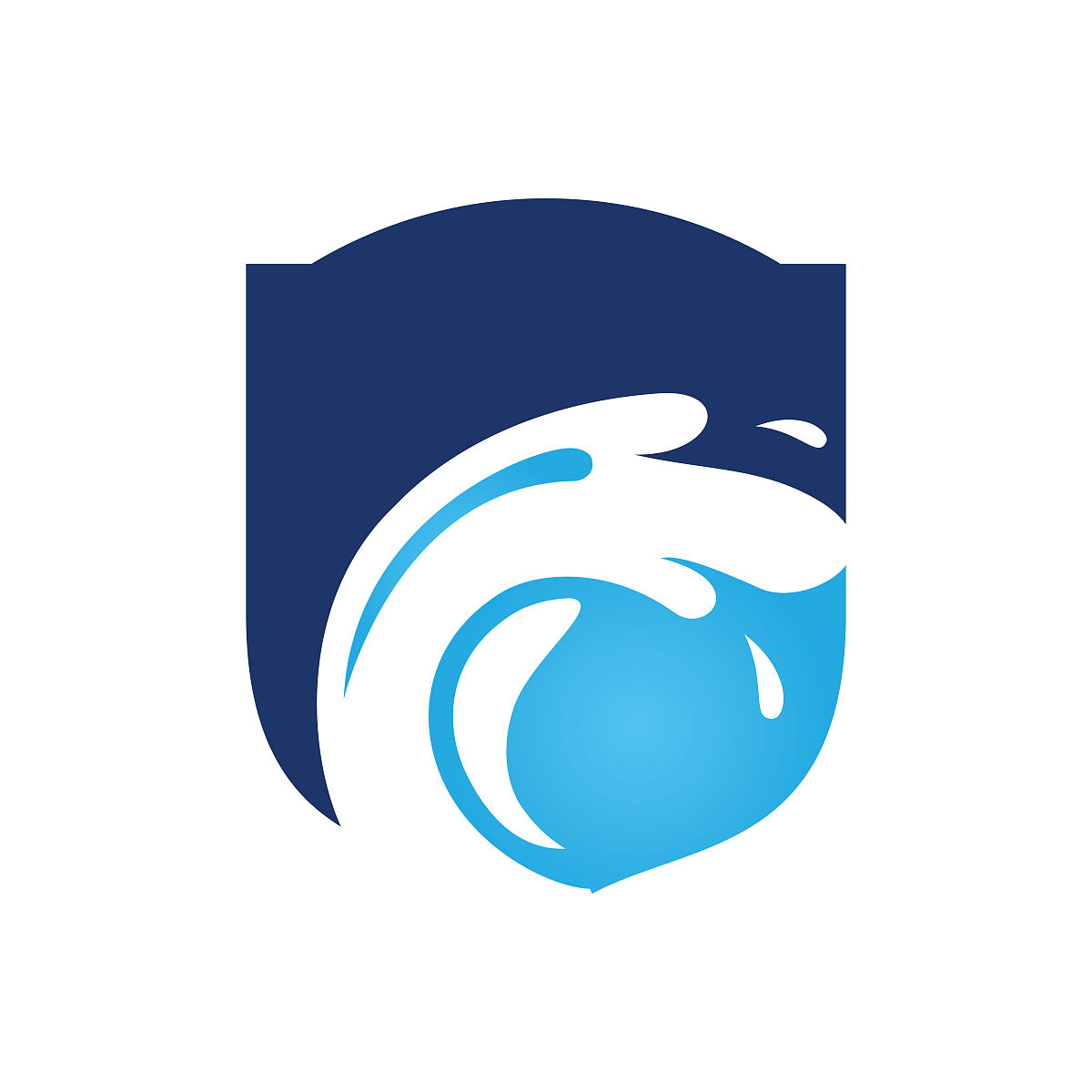 我要开一家公司名字叫蓝盛隆，帮忙设计一个logo