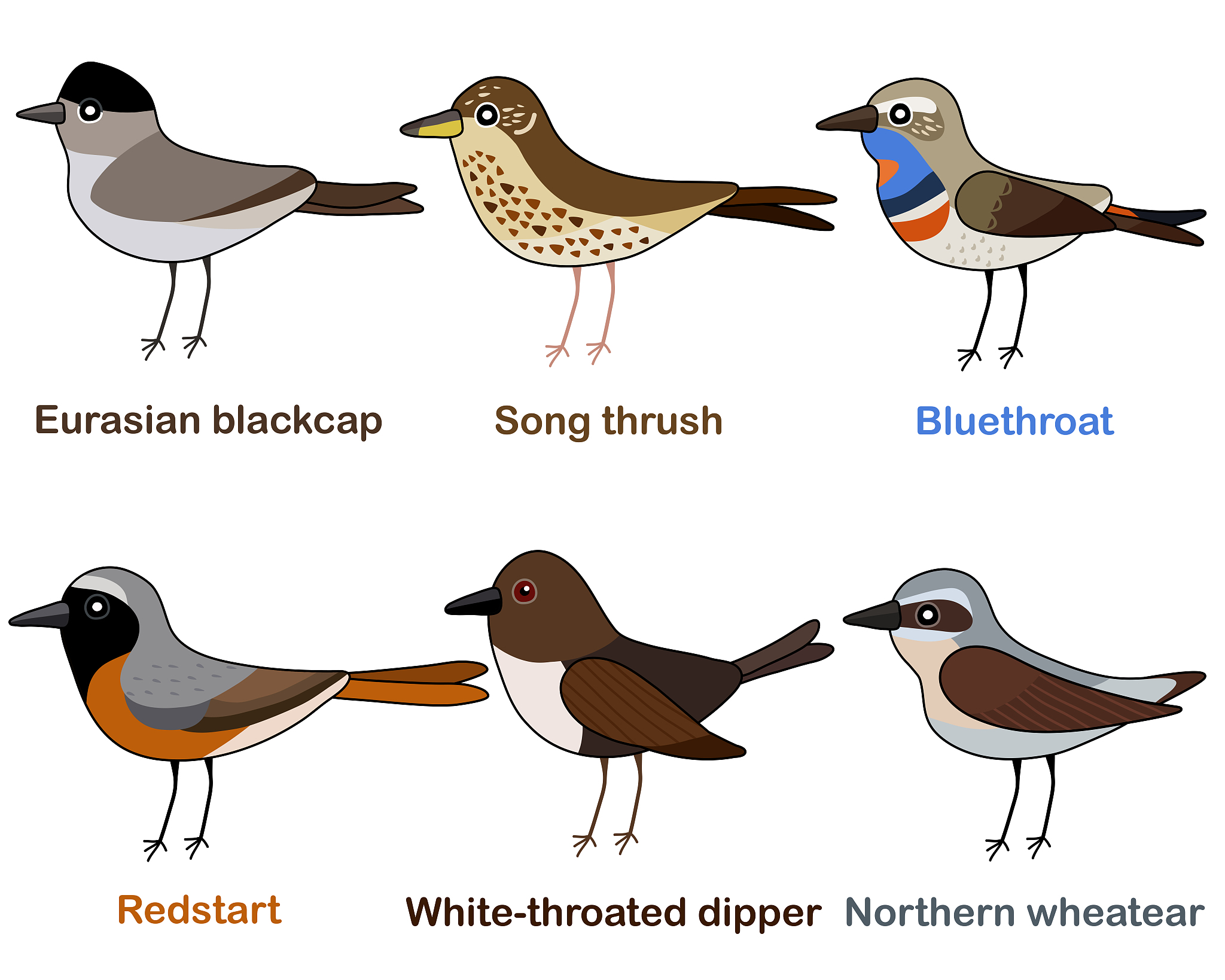 Strongest Bird: Crackhead Terrence, Longneck Billy, or Short Vew?