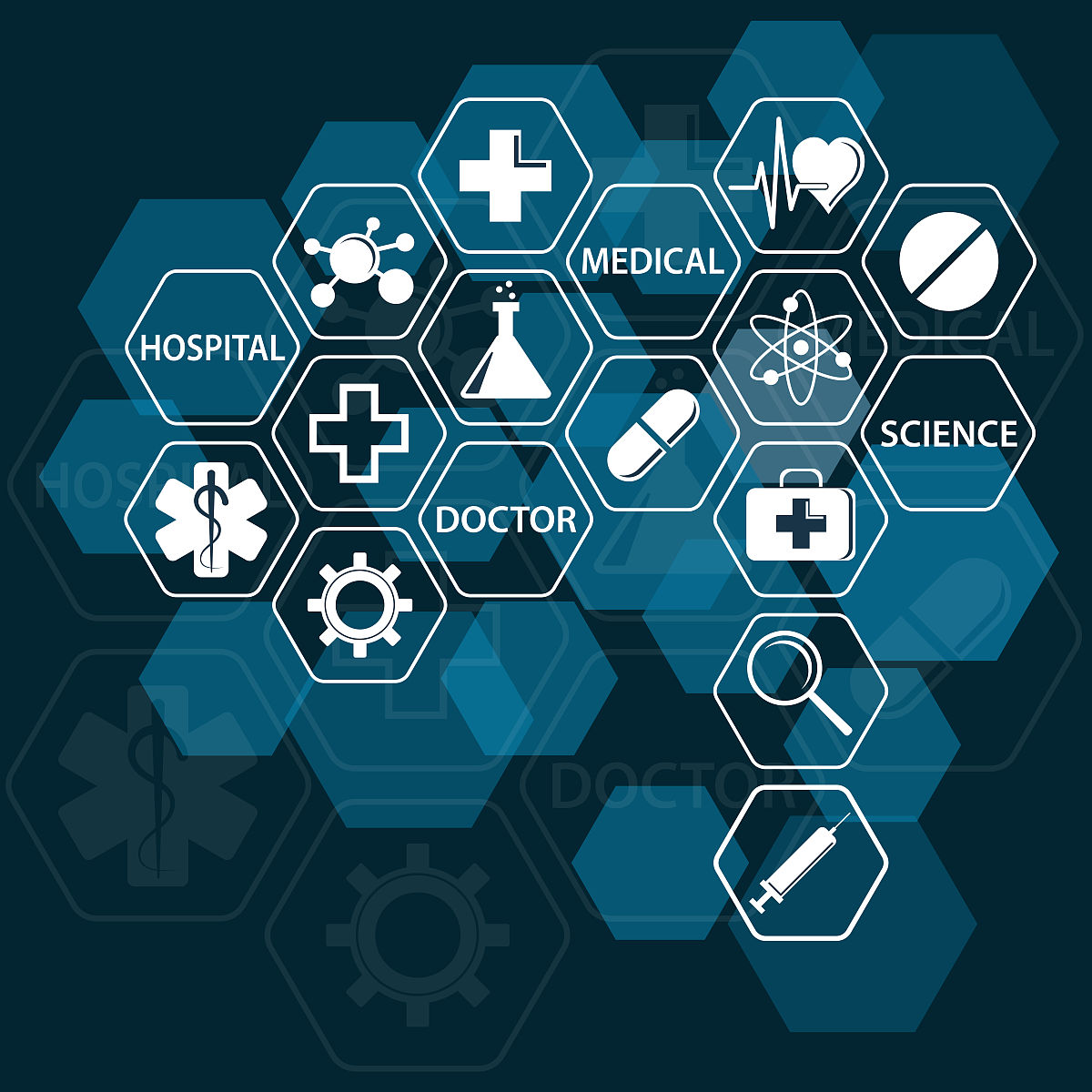 成都卫校招生简章 | 四川省成都卫生学校招生信息
