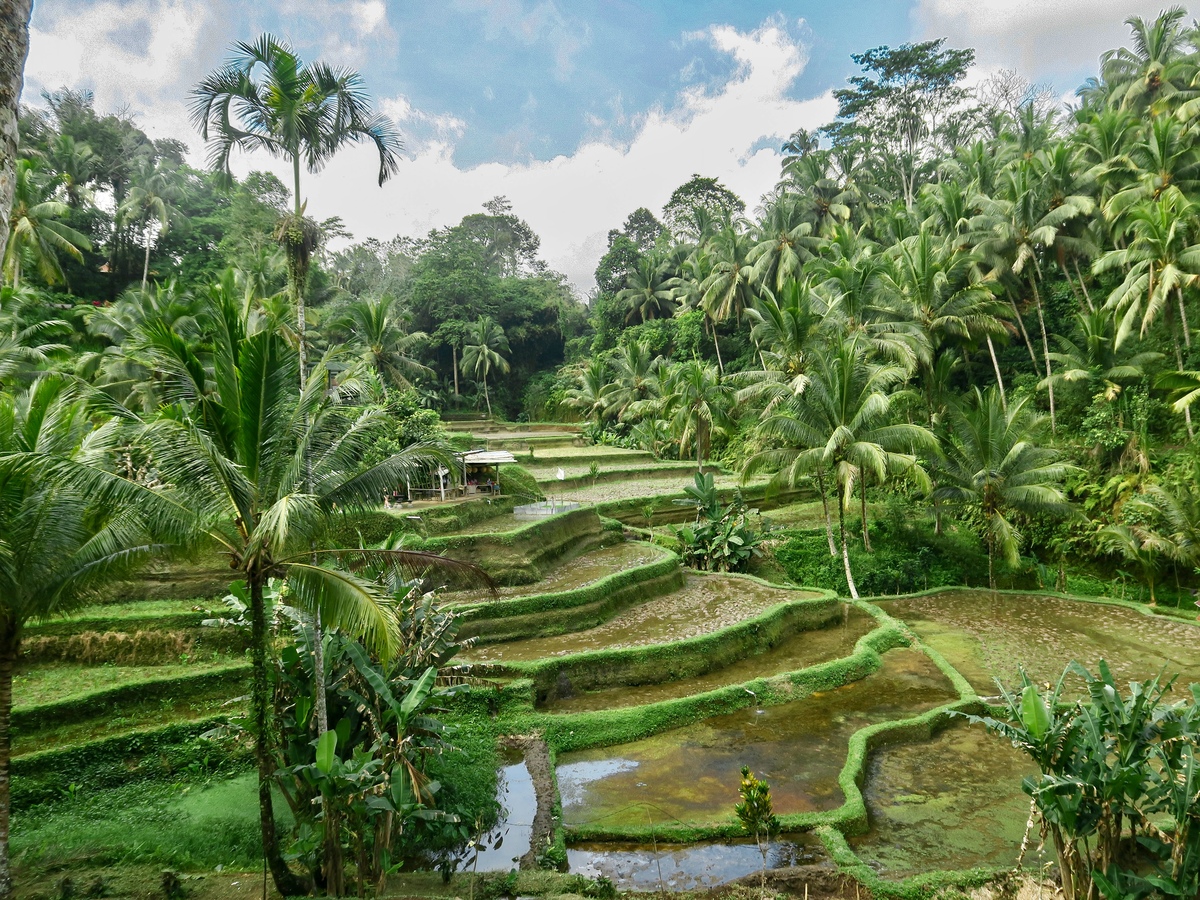 介绍一下西双版纳