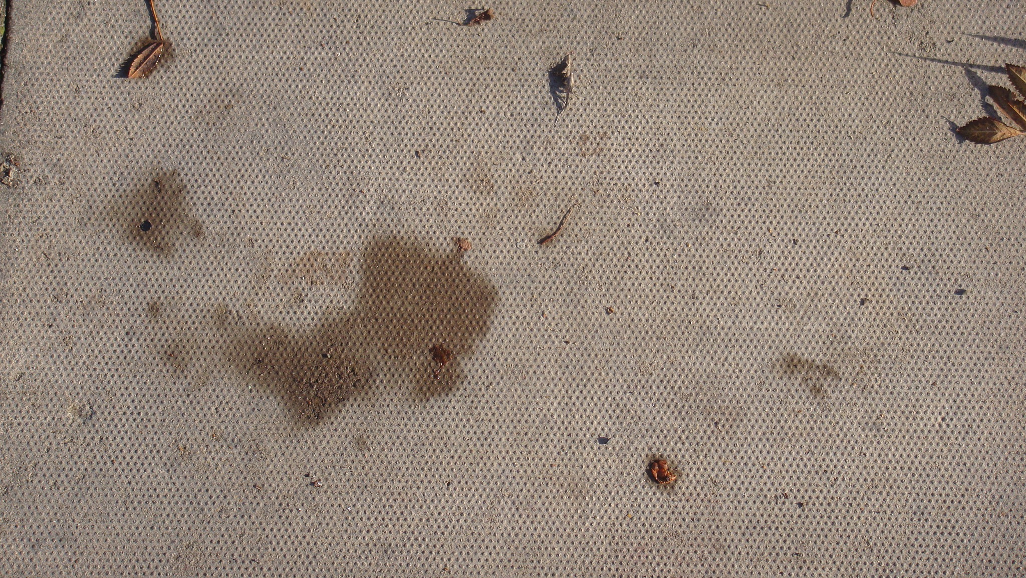 abstract texture