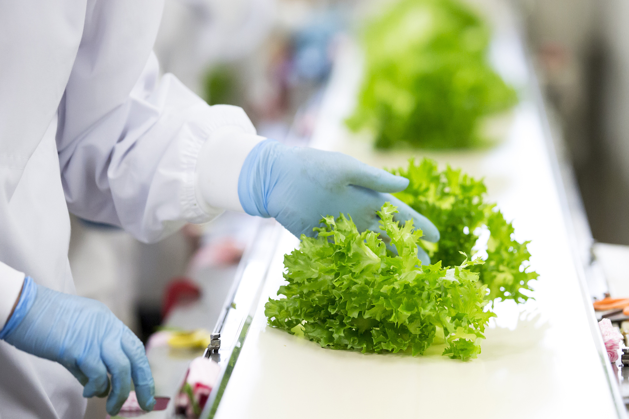 杨凌职业技术学院绿色食品生产技术专业都学些什么