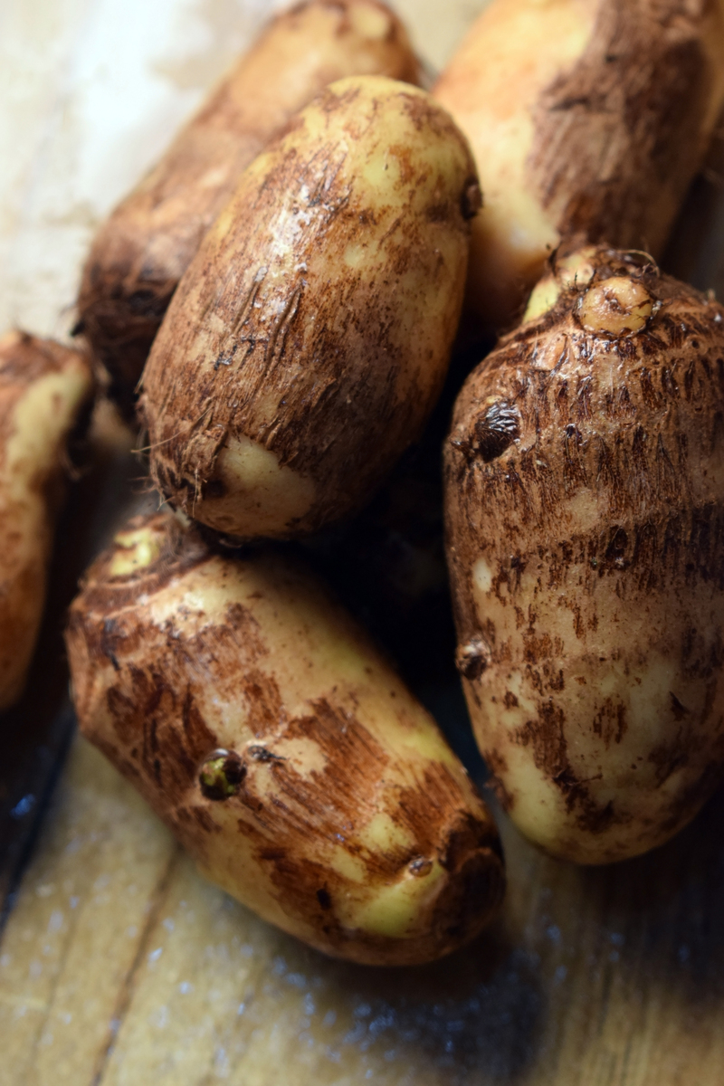 修仁薯莨和荔浦芋头的区别，