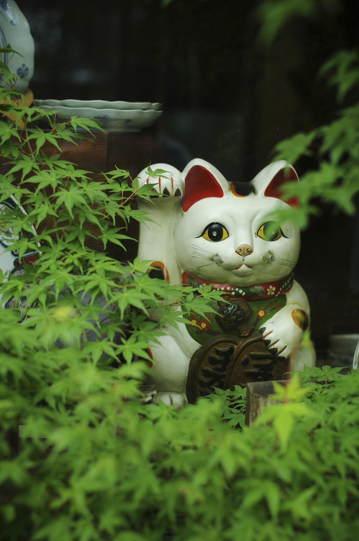 日本猫文化研究：从宗教、艺术到民间传说