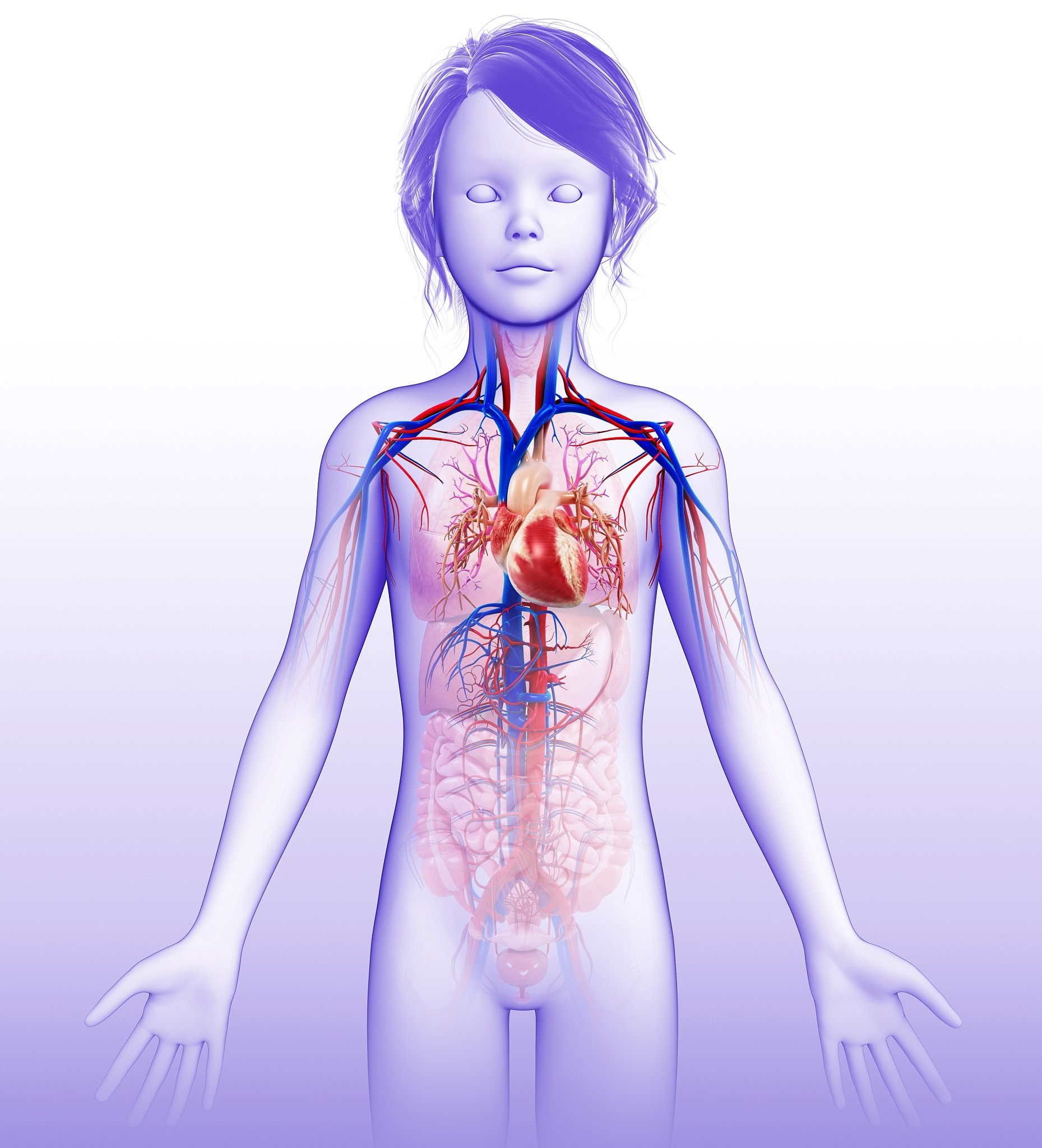基于区域的多指标多器官医学图像分割模型评估系统：原理与应用