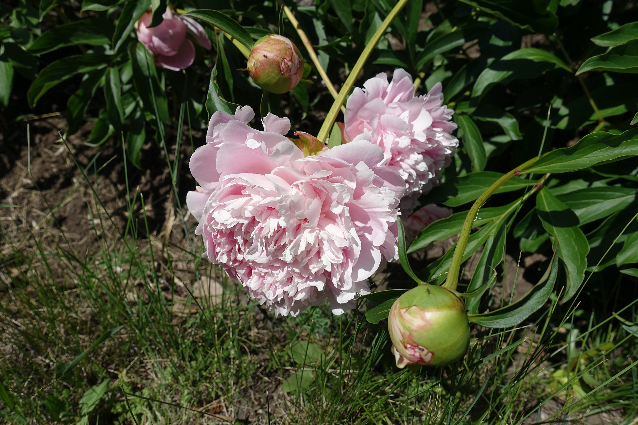 遵义重美职业技术学校美容美体专业好不好发展前景怎样