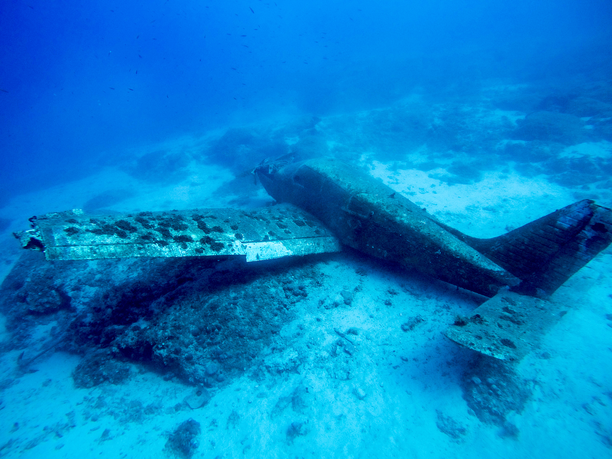 wreck diving