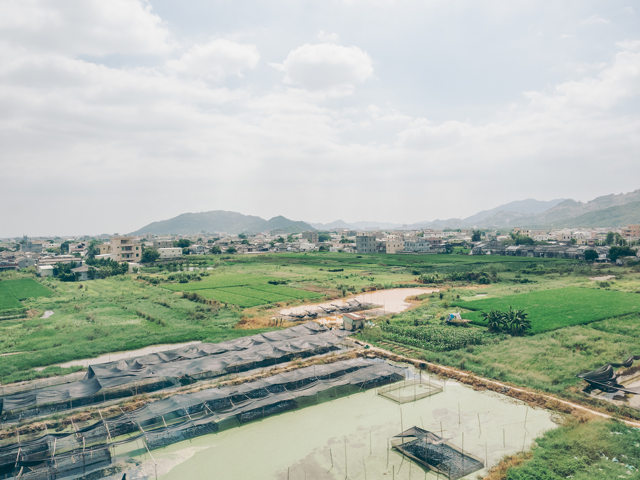 云南农业职业技术学院2019年五年一贯制大专招生专业