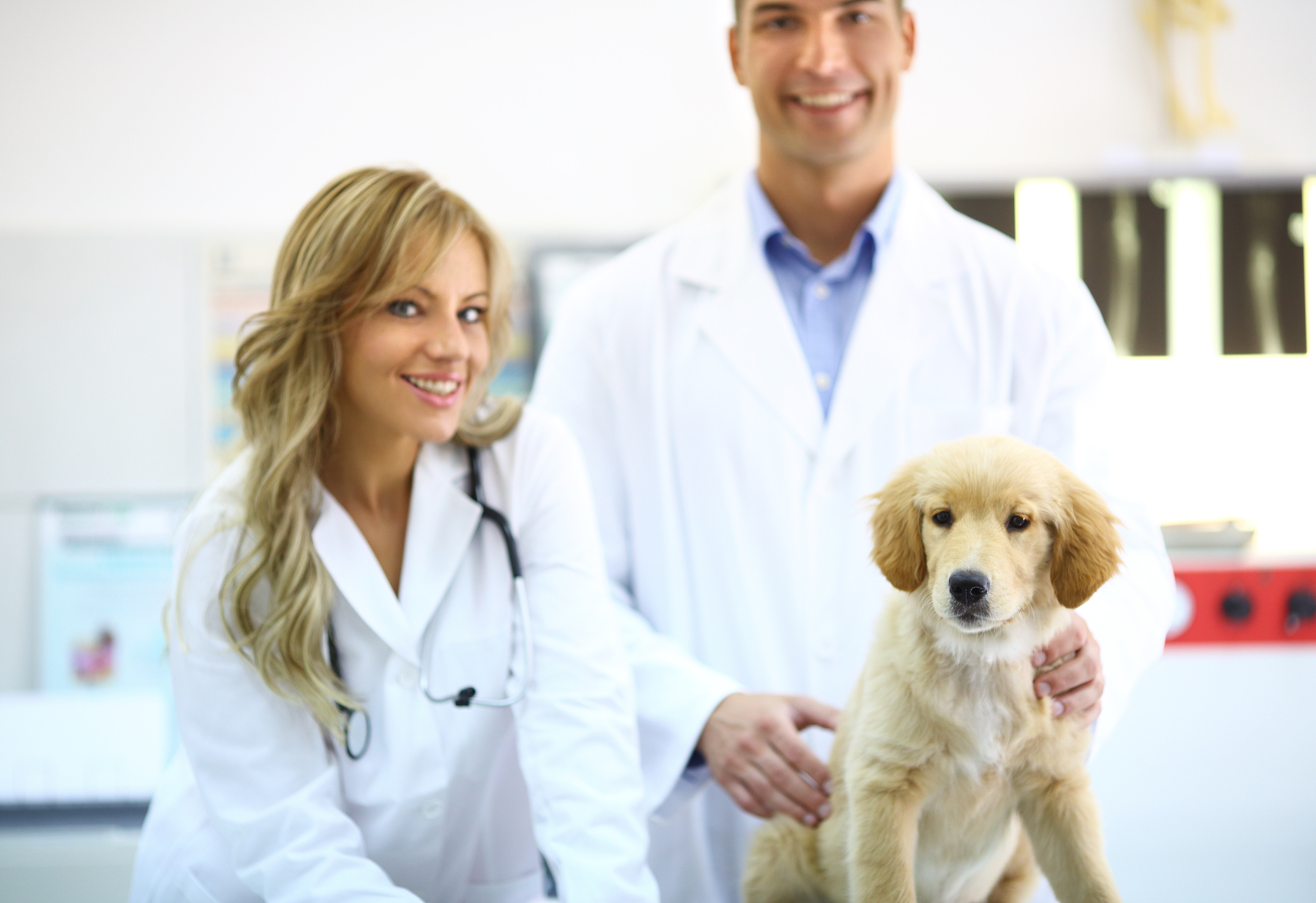 福建农林大学动物科学专业怎么样