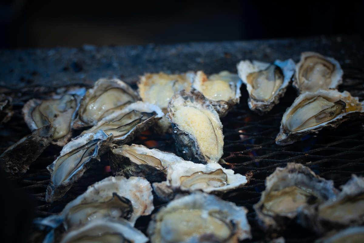 生蚝放冷藏10天还可以吃吗