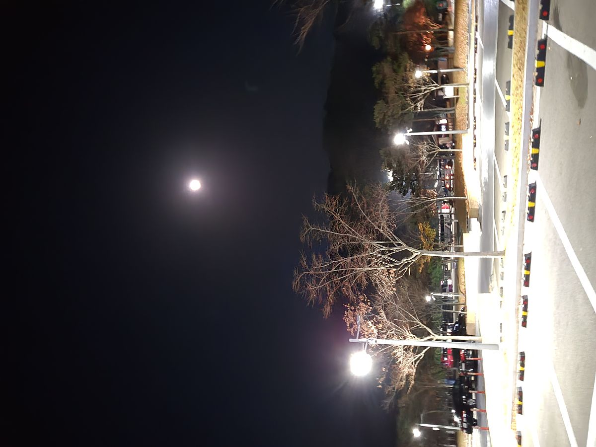 夜晚的魅力：散文赏析与感悟