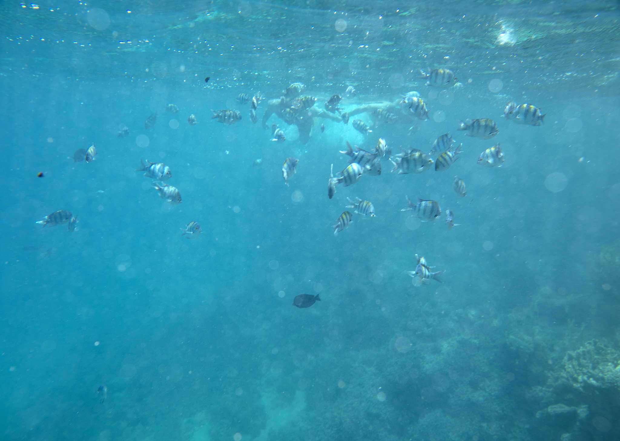 Age of ocean floor