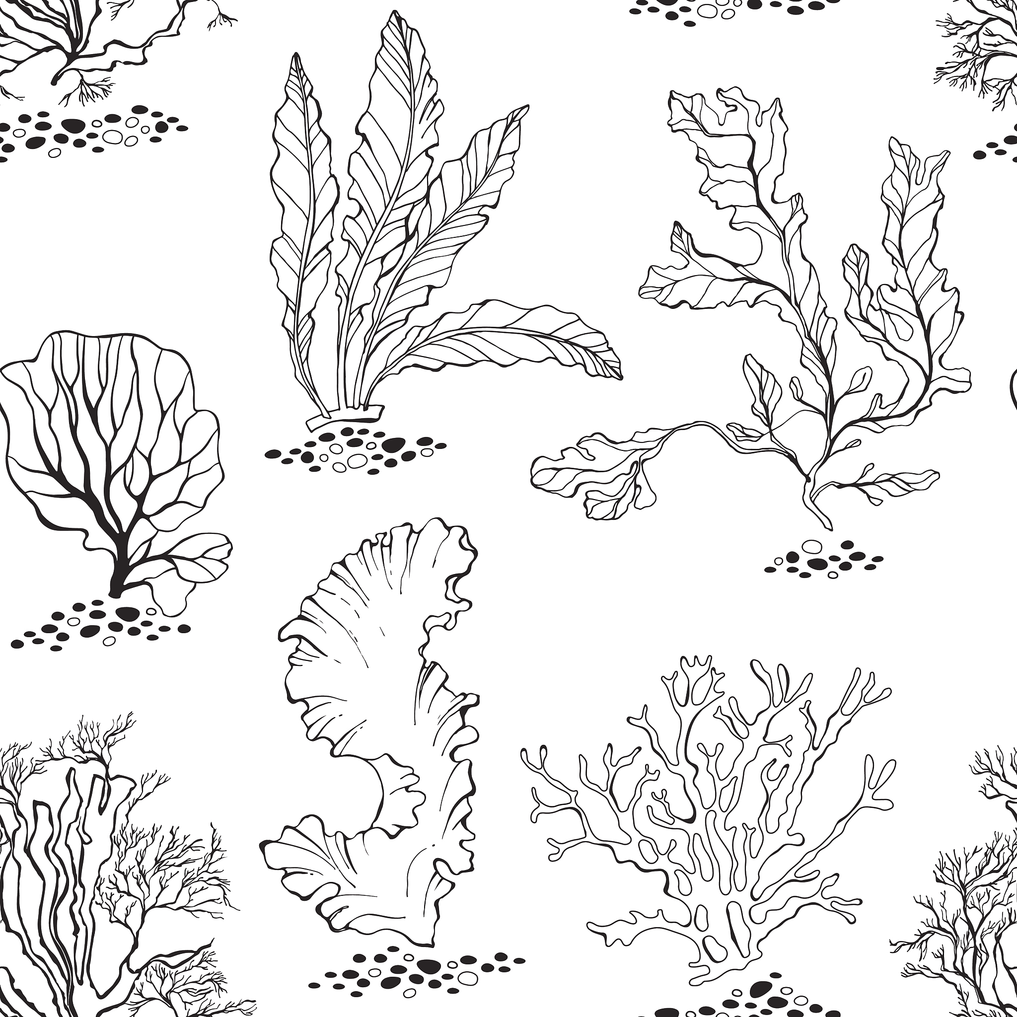 seaweed. seamless vector pattern with underwater plants. black a