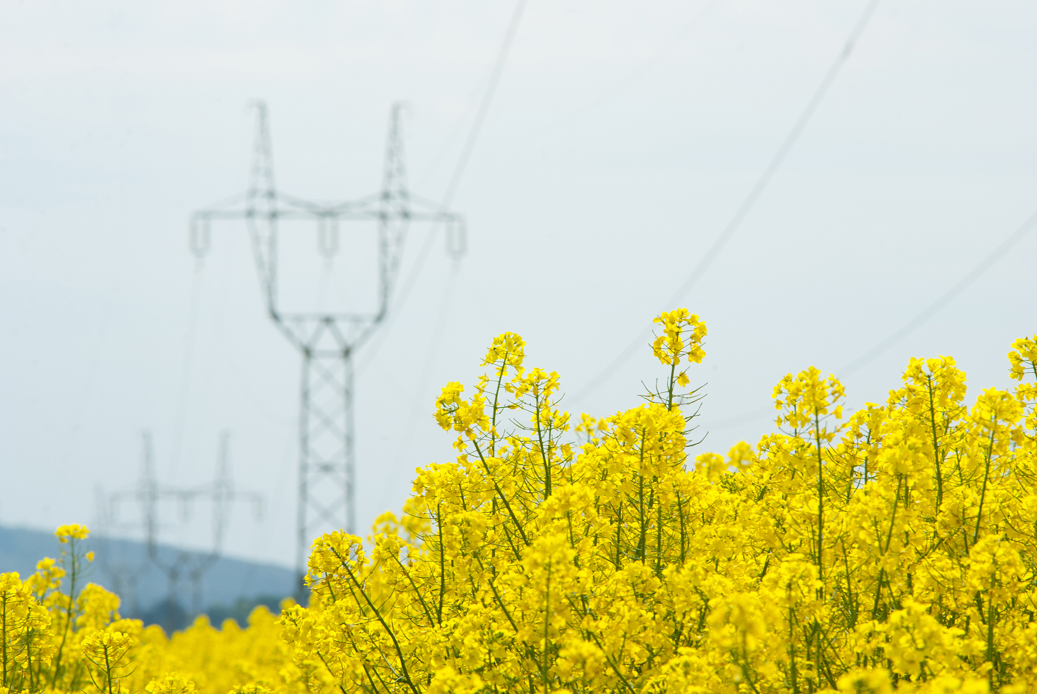 江西生物科技职业学院休闲农业专业优势怎么样发展前景好不好呢