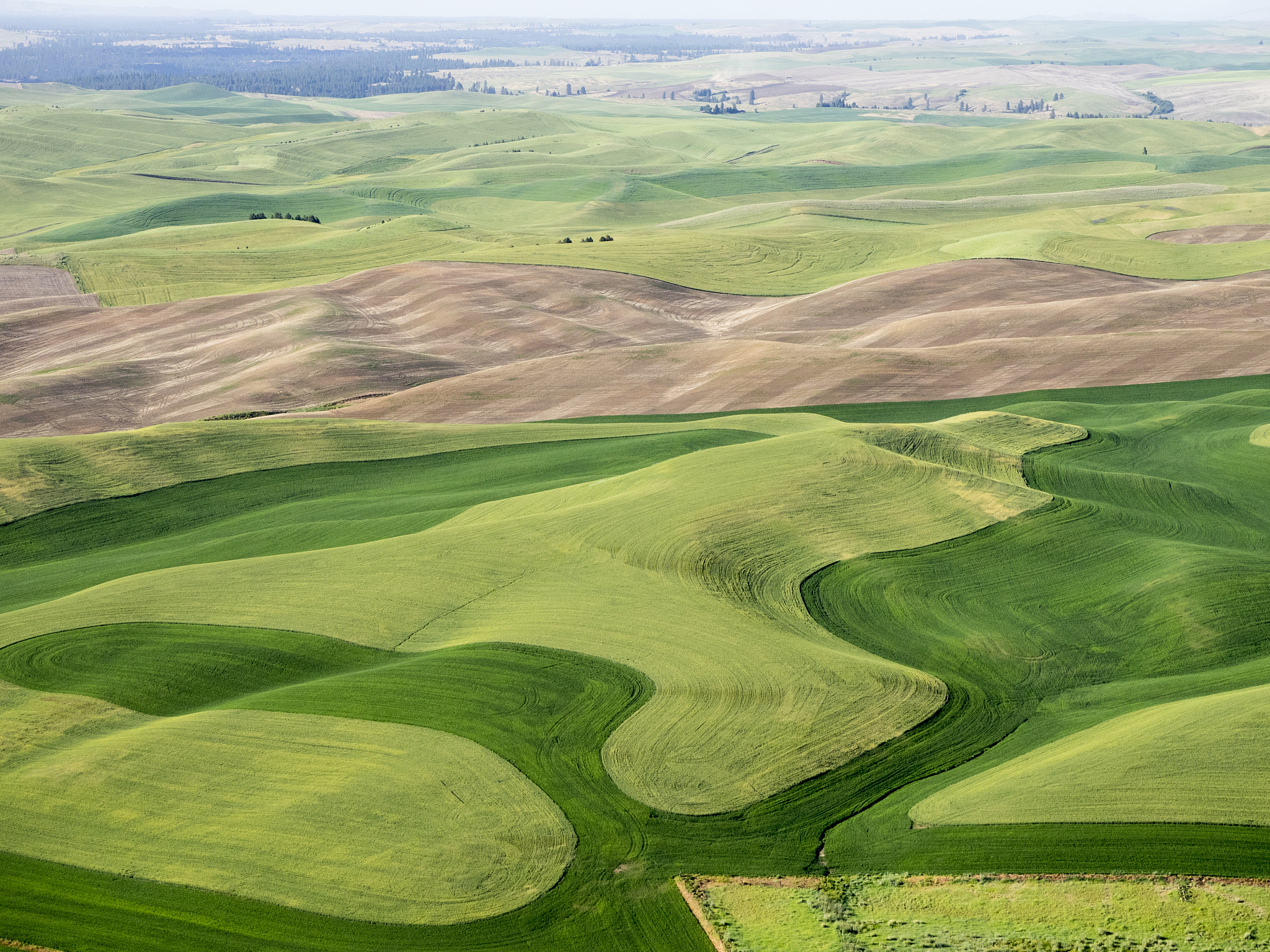 aerial photography in the palouse region of eastern washington