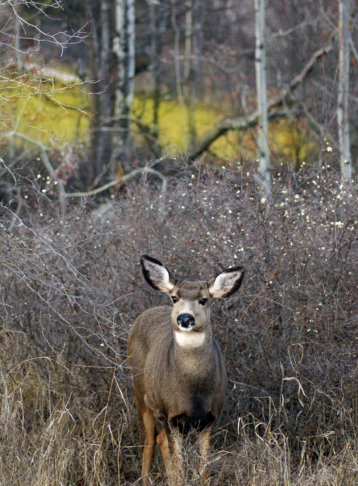 户外旅行安全指南：如何预防和应对常见风险