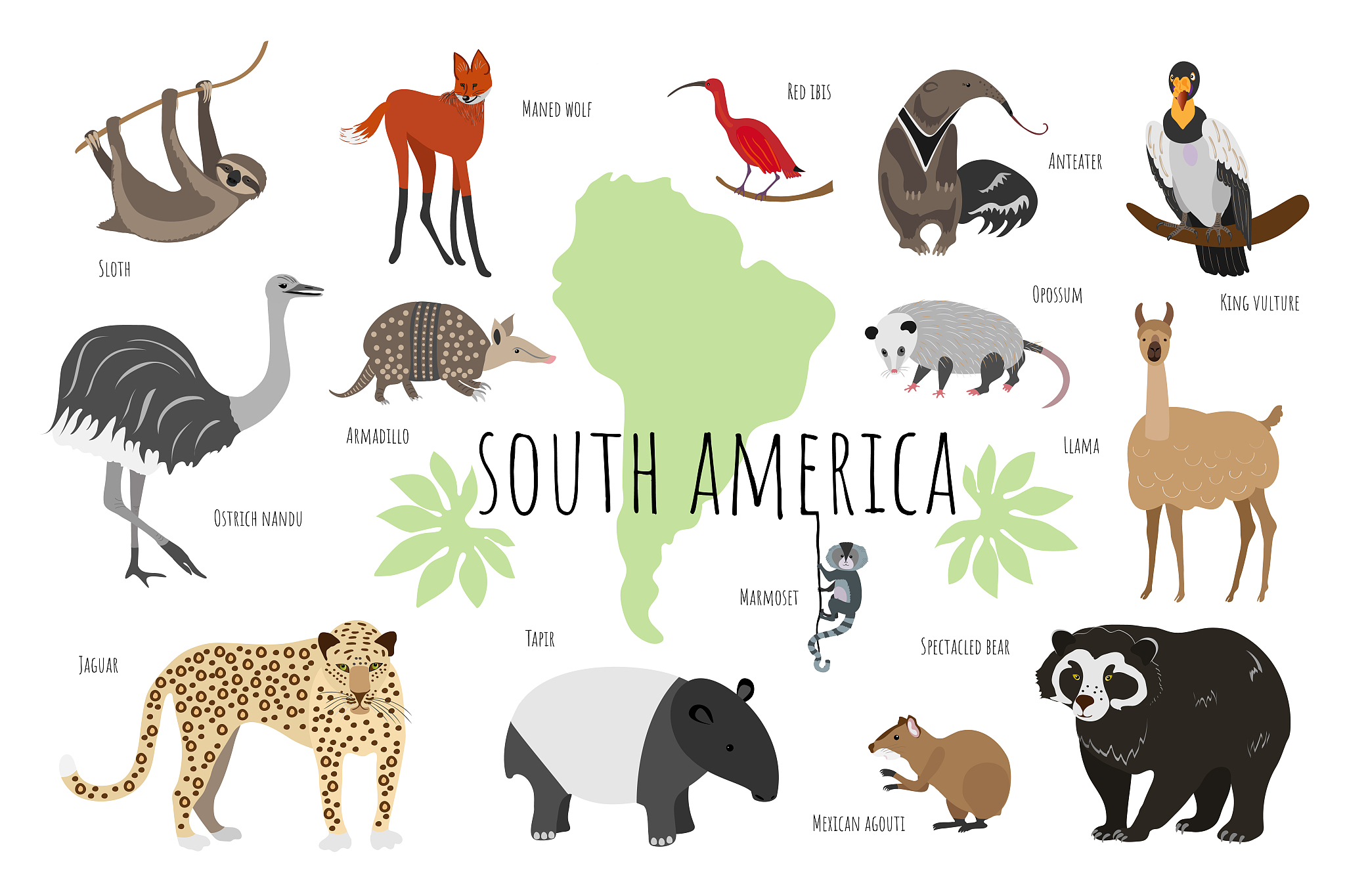 MigrationIssueBiologistDefineSortBatBeastBeaverBuffaloCamelChimpanzeeDonkeyFaunaGenus属GibbonGiraffeGorillaHerdHippoHordeHornKoalaMarmotNicheOxPonyReindeerRhinocerosSealSlothWhaleWoodpeckerYakZebraZool