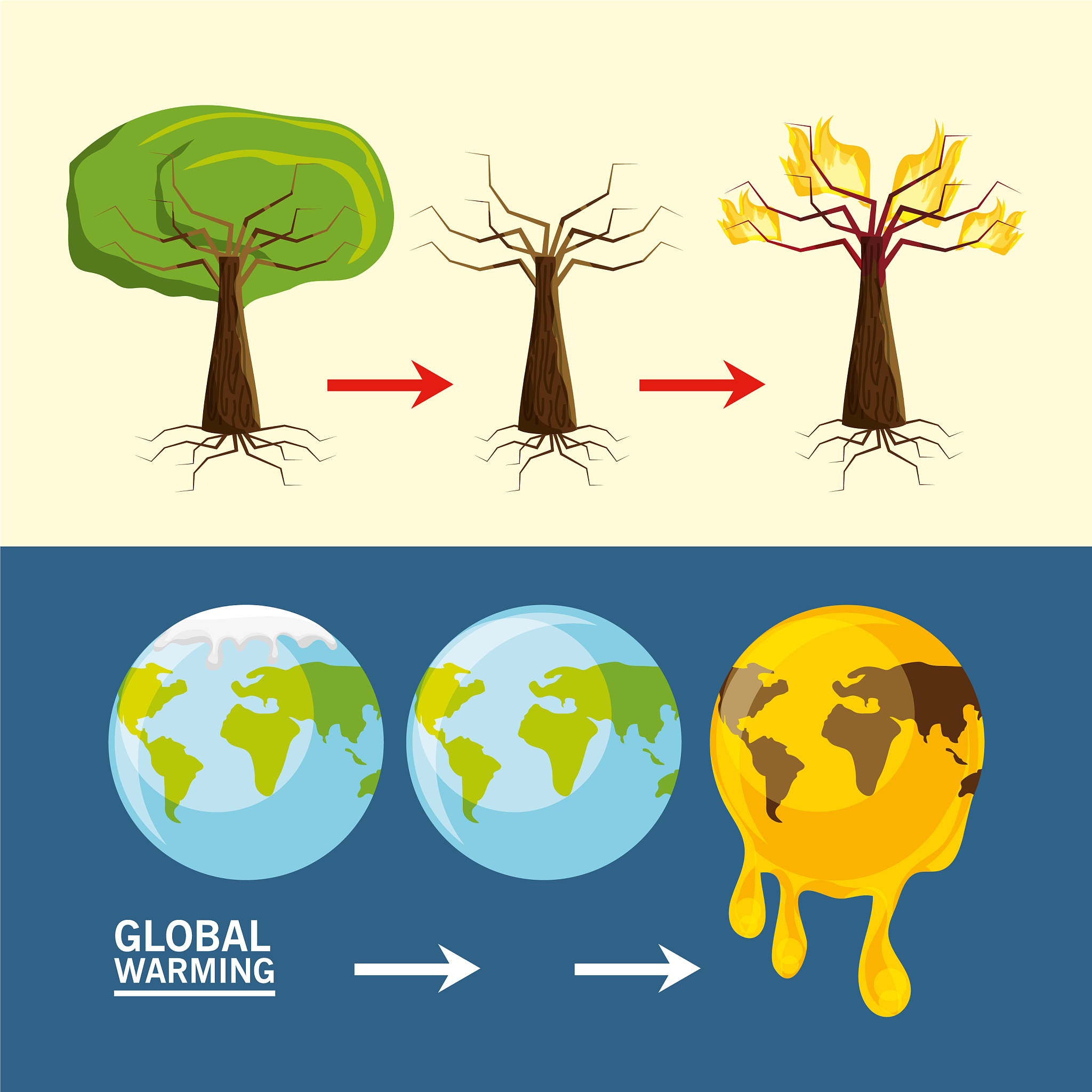 最新植物物候研究文献：气候变化、时空变化与趋势