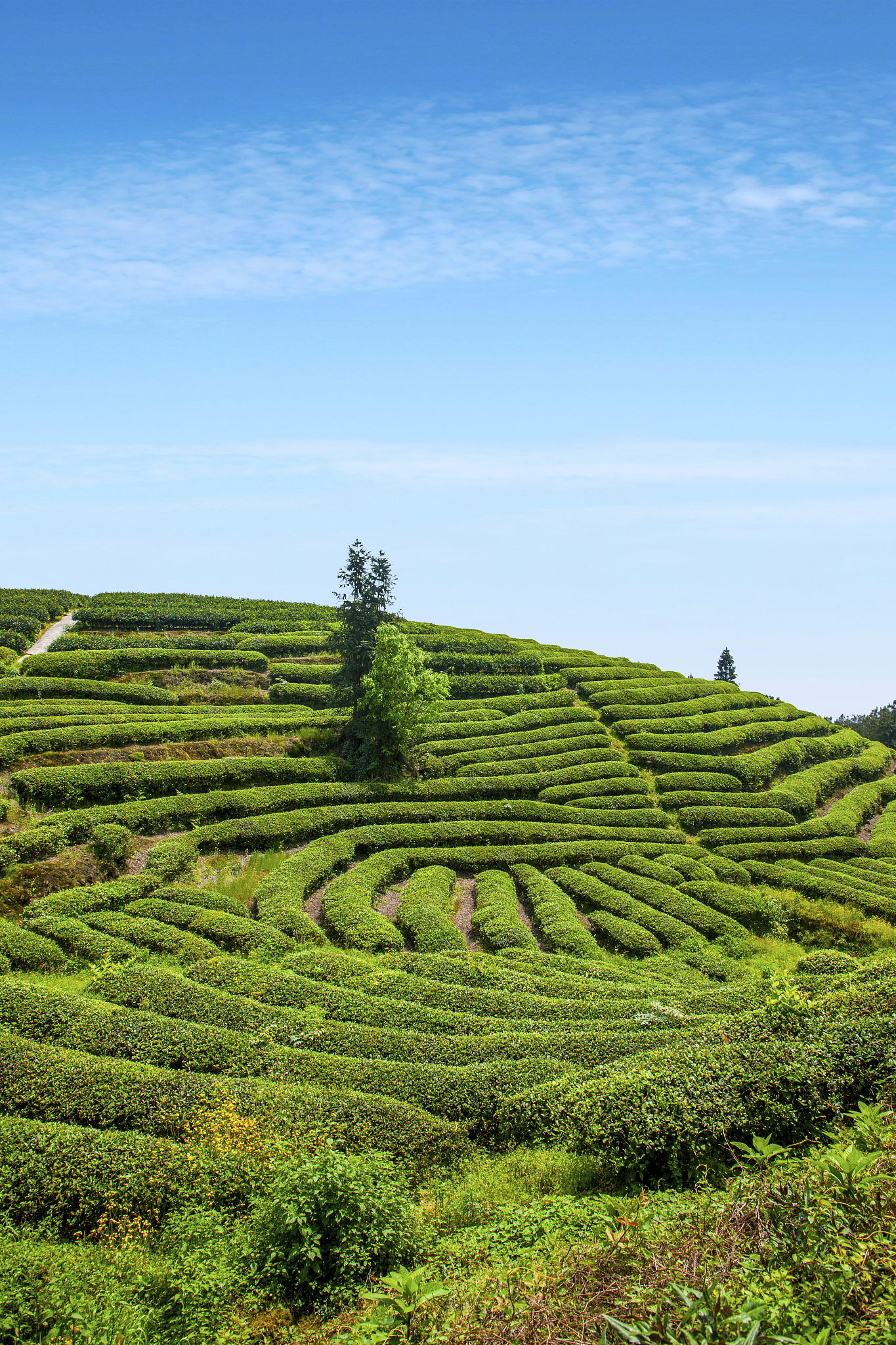 2020年重庆职高和卫校哪个好