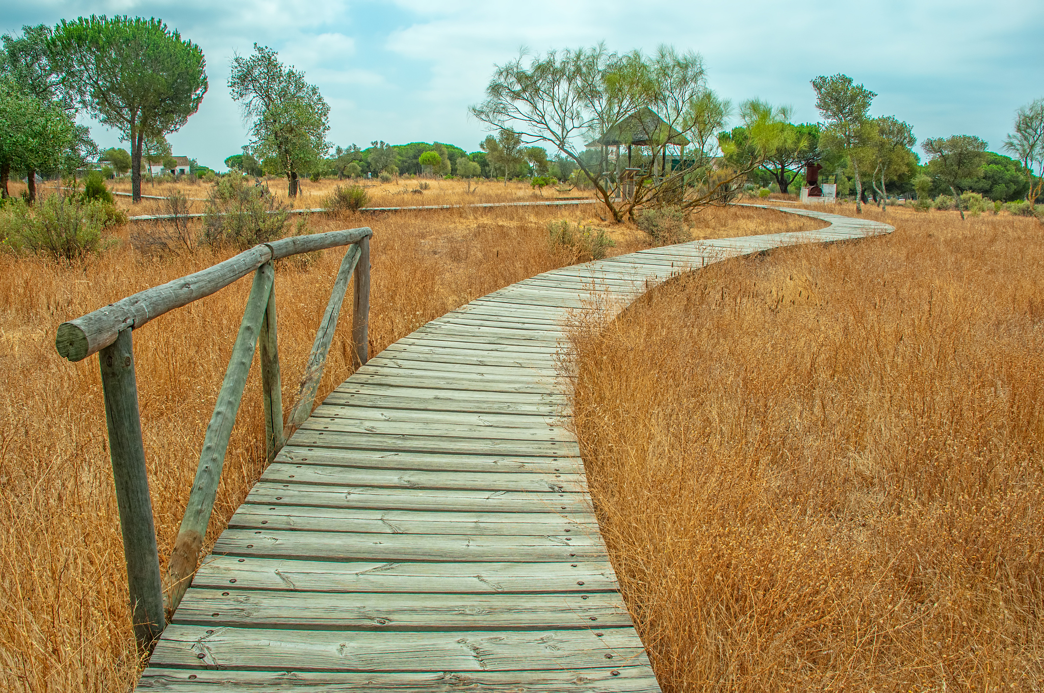 boardwalk in doana natural park