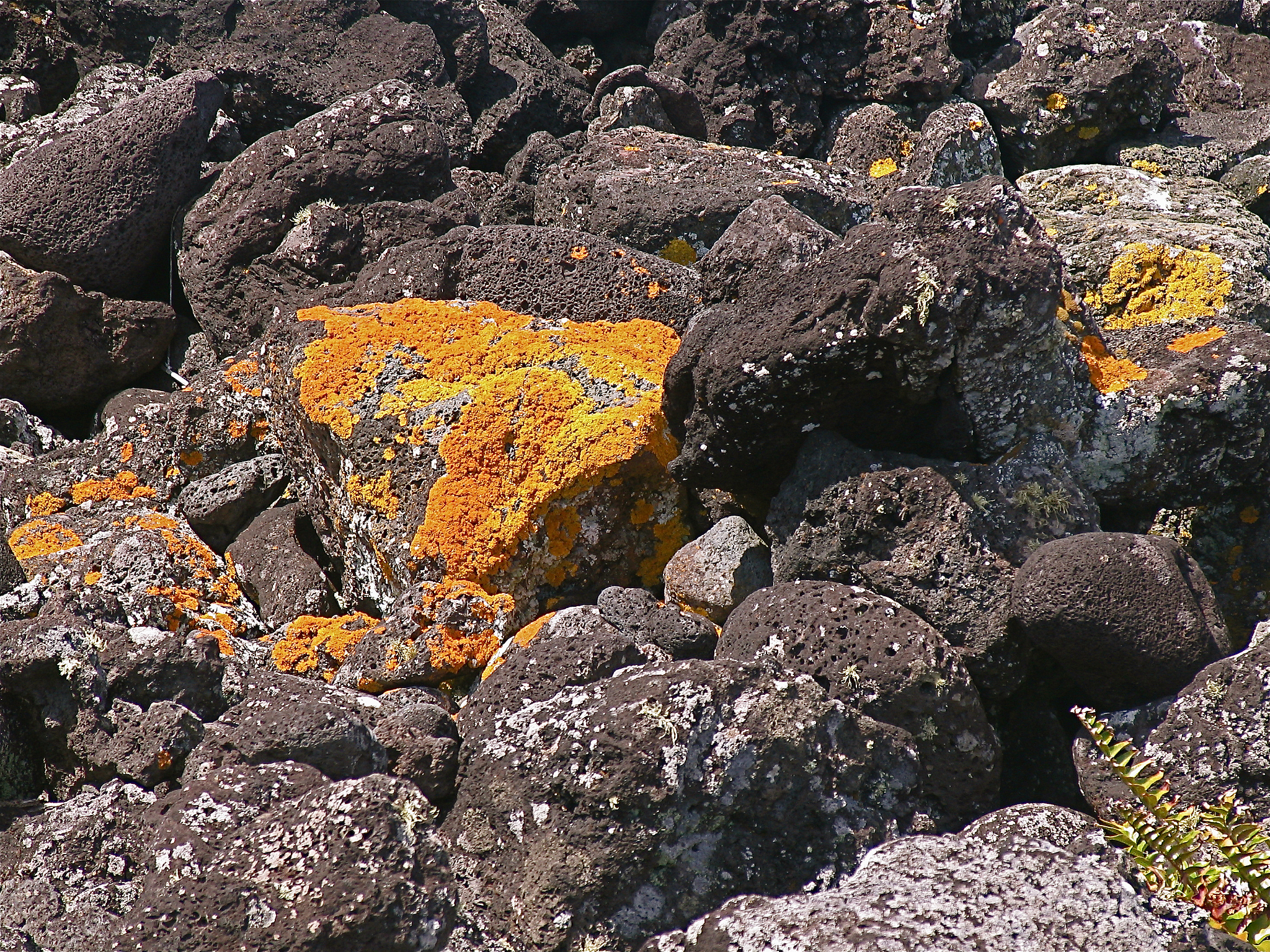 石子中的有害物质