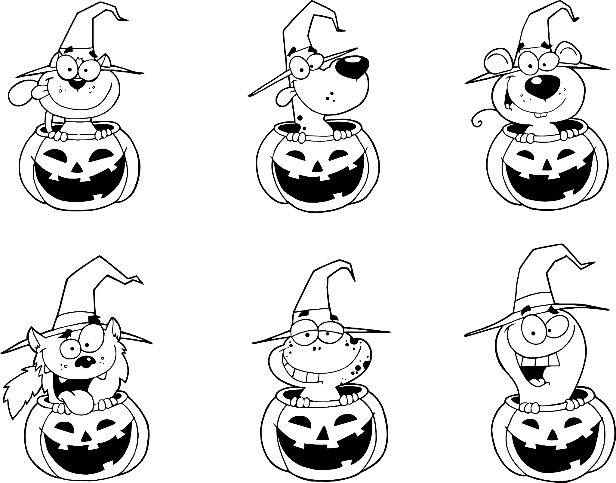 给女朋友讲个笑话