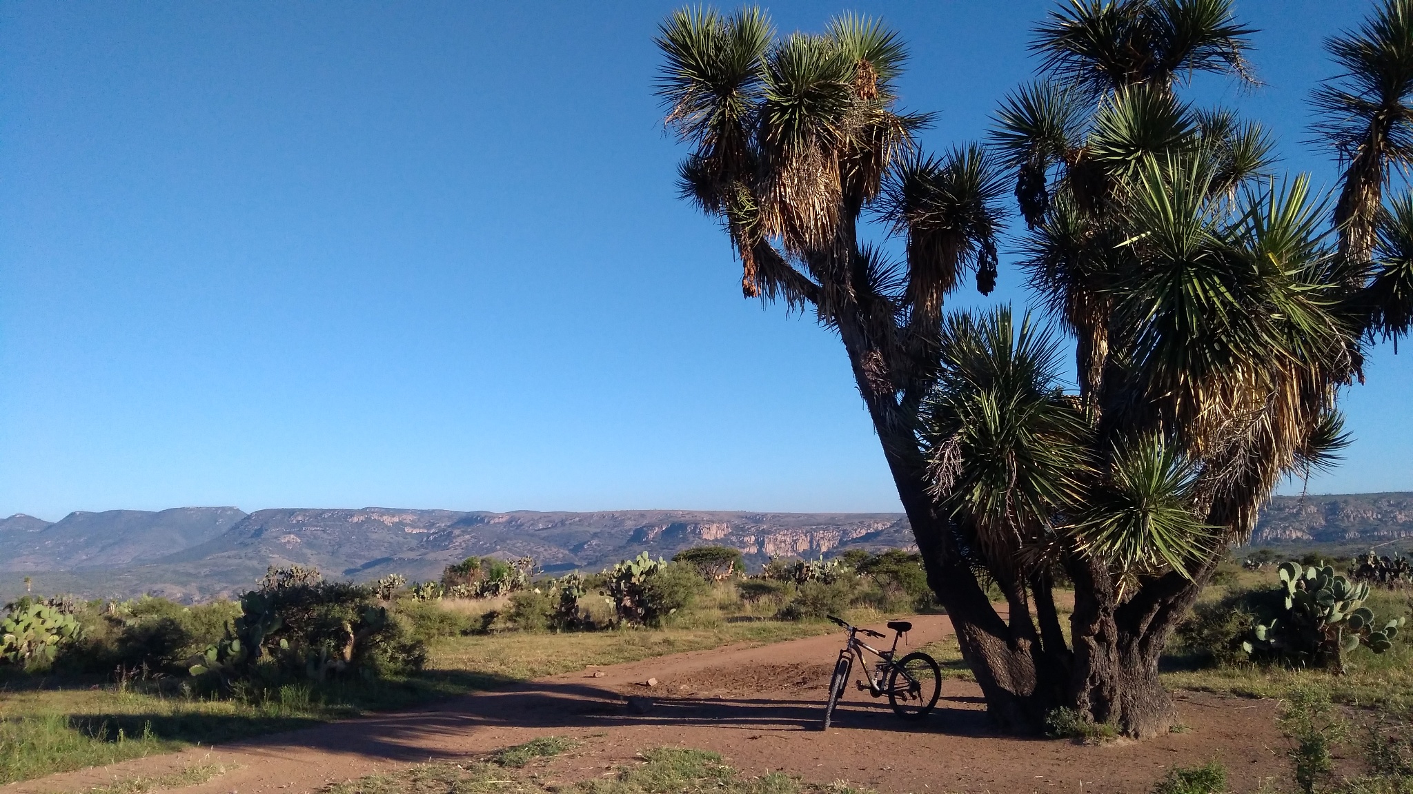 la posta aguascalientes mtb