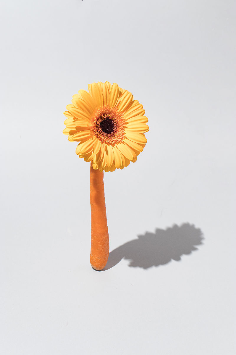 Vivo 手机相机九宫格设置教程：轻松拍出完美构图