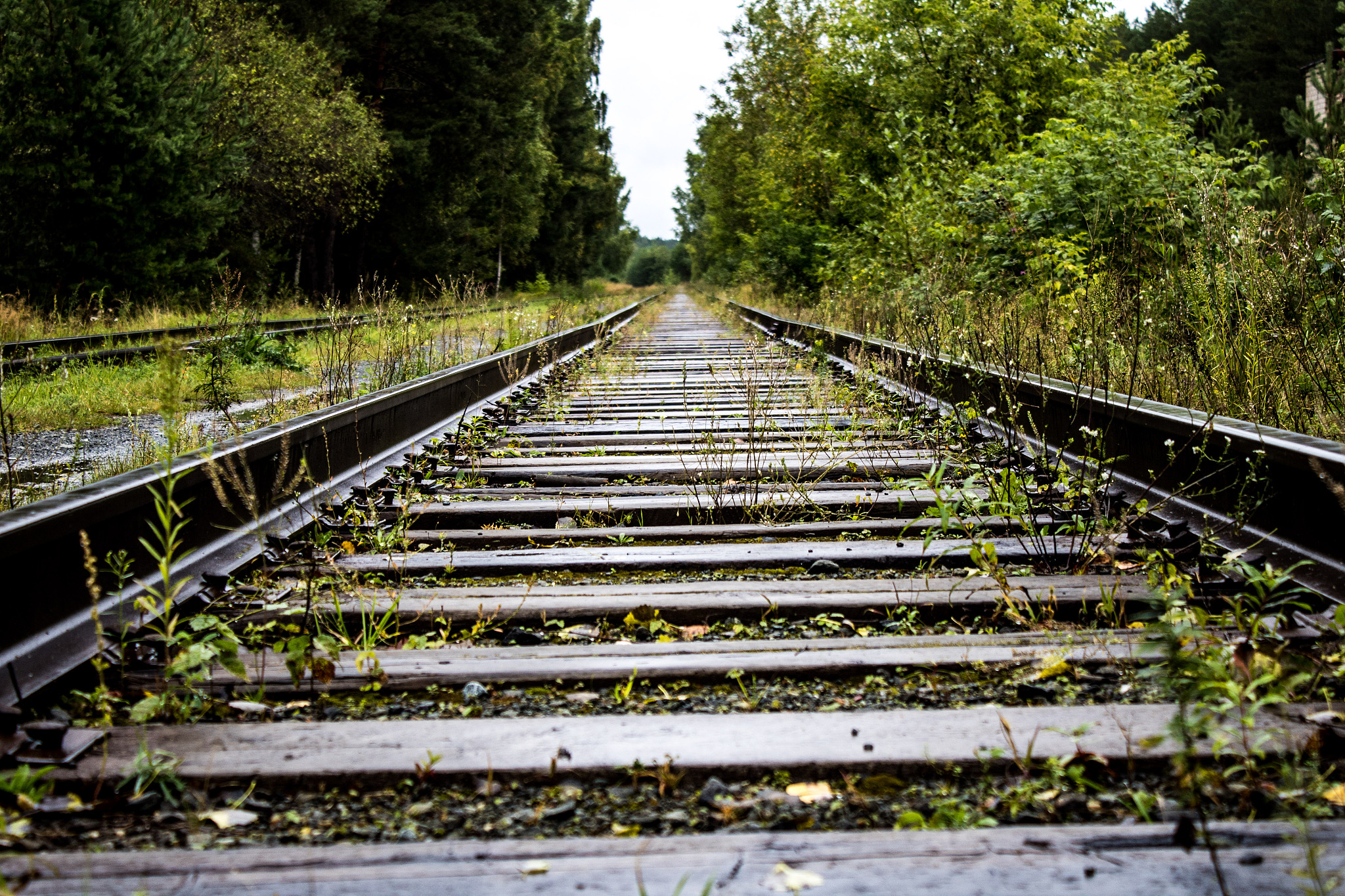 陕西2023年最好的铁路学校：培养高素质铁路人才的理想选择