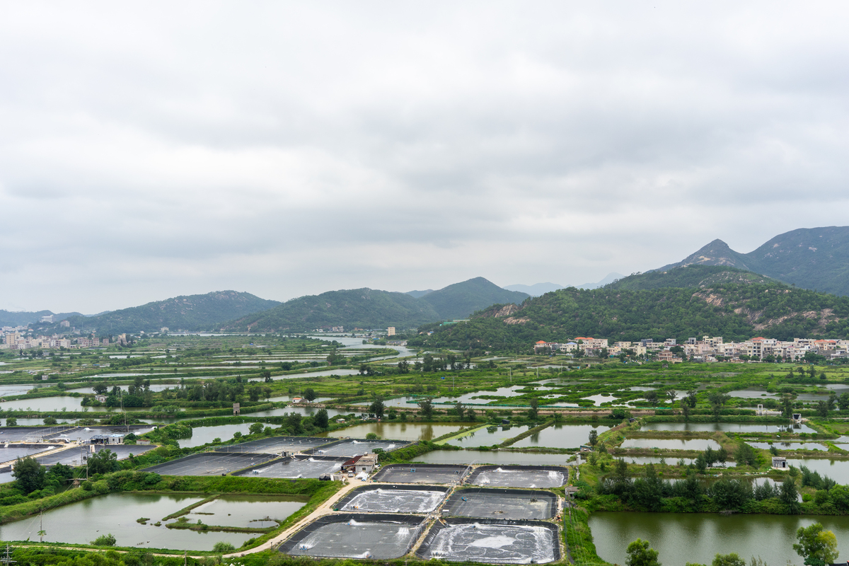 写出你对宁海县的展望