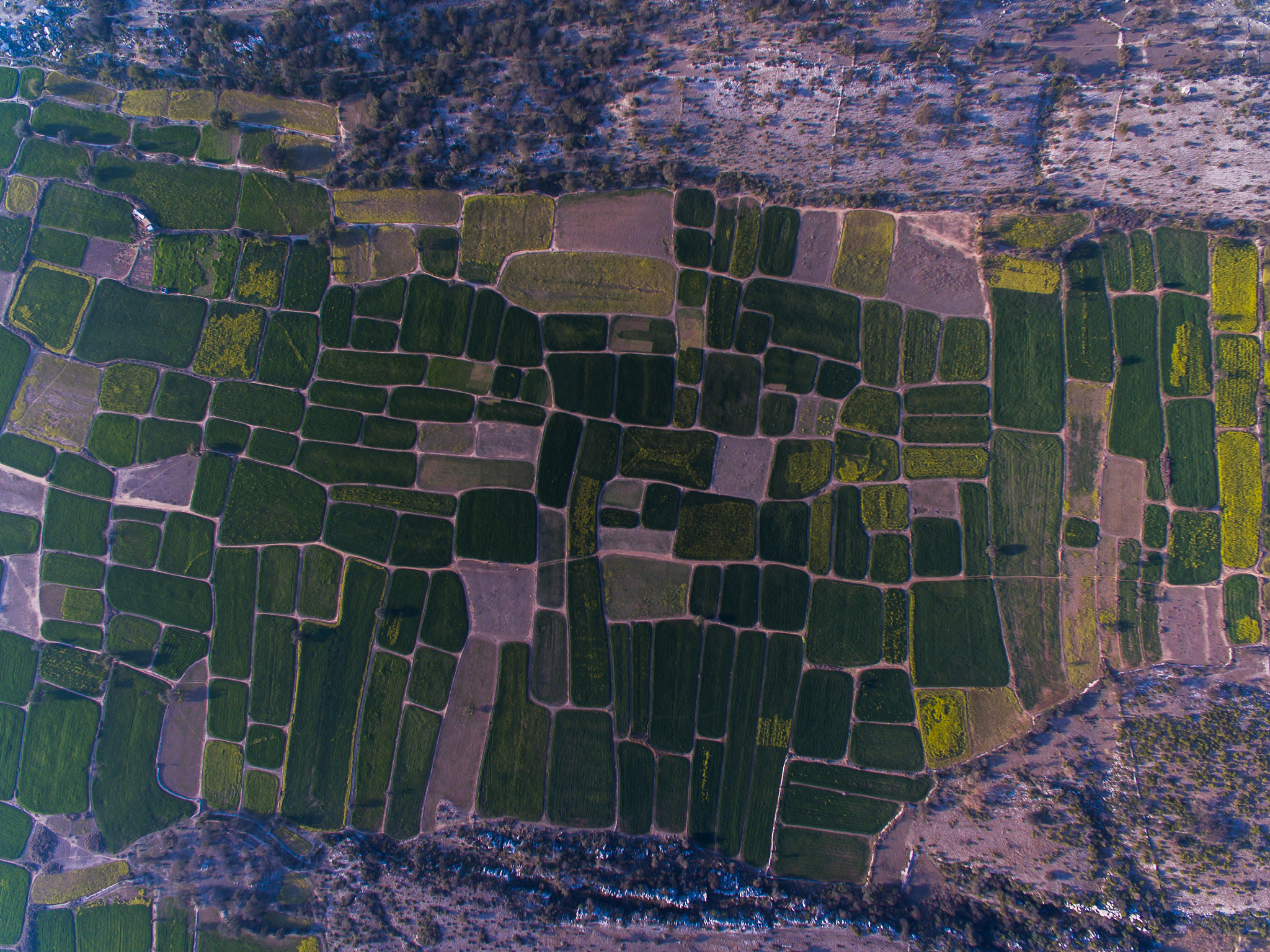 黑龙江生态工程职业学院无人机应用技术专业课程设置：无人机原理、机器人控制、实践操作