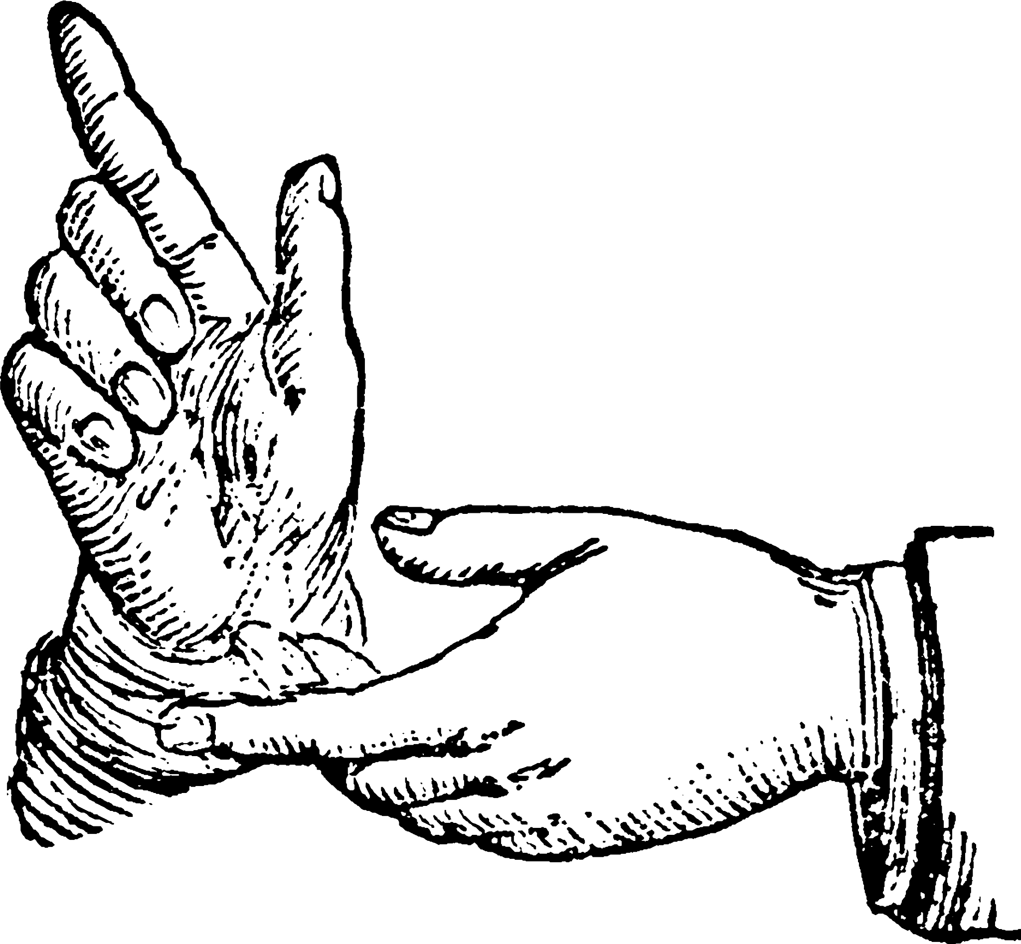 腕部扭转 (Lower Arm Twist): 人体腕部旋转运动