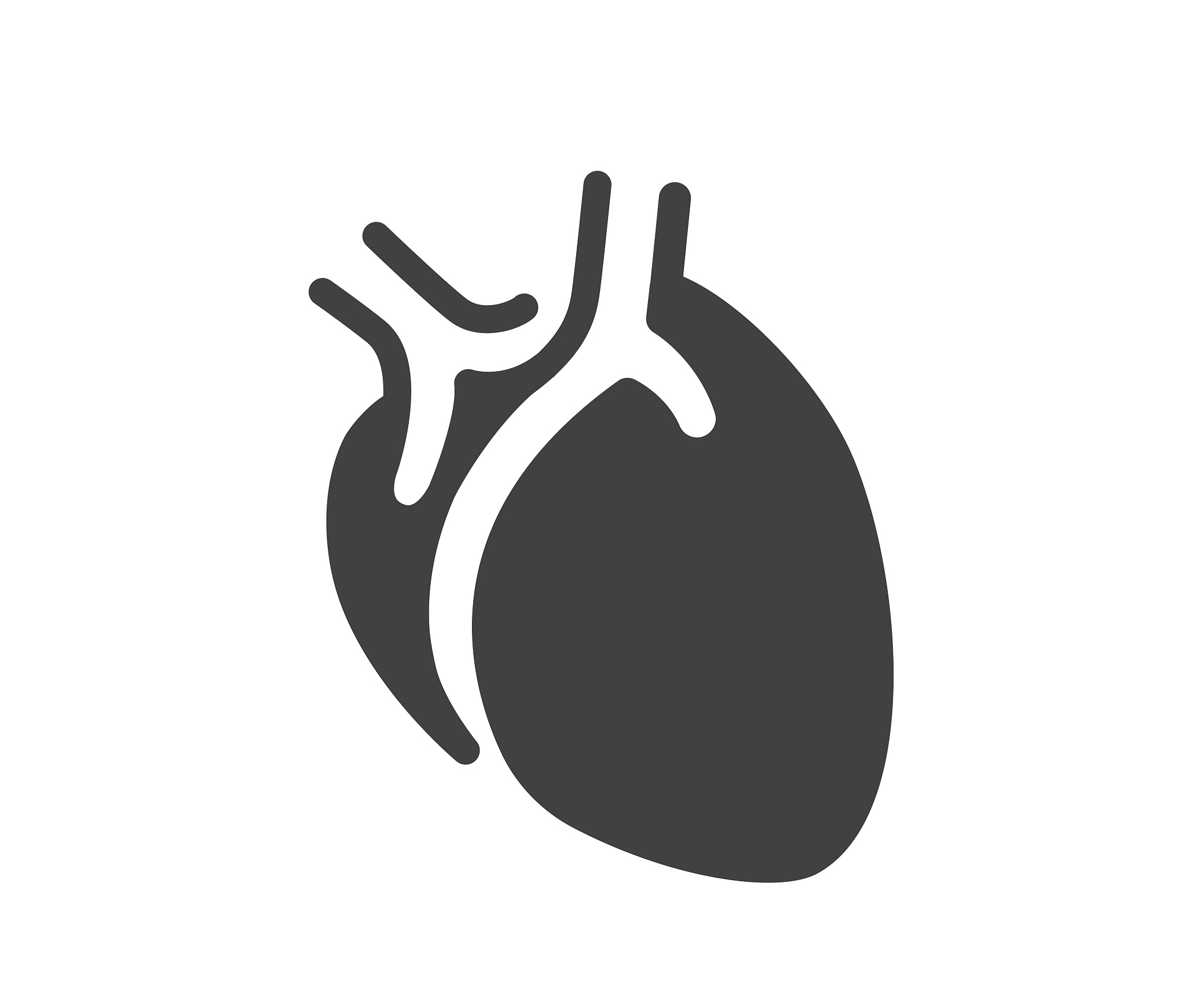 heart - illustration
