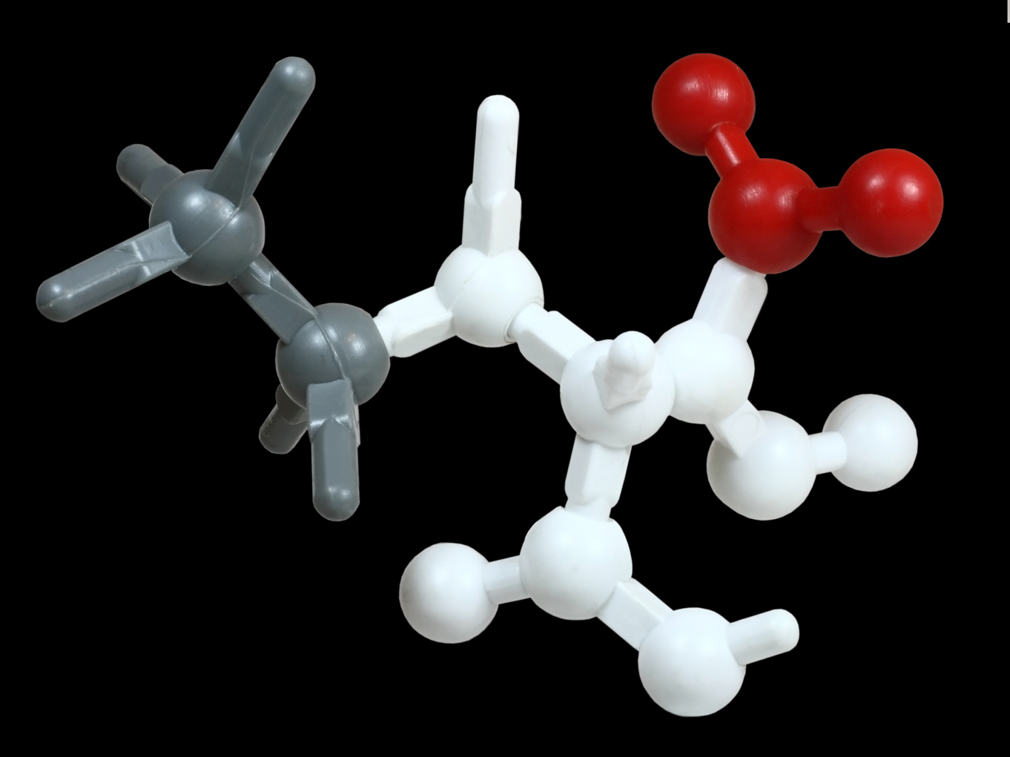 molecular model isolated
