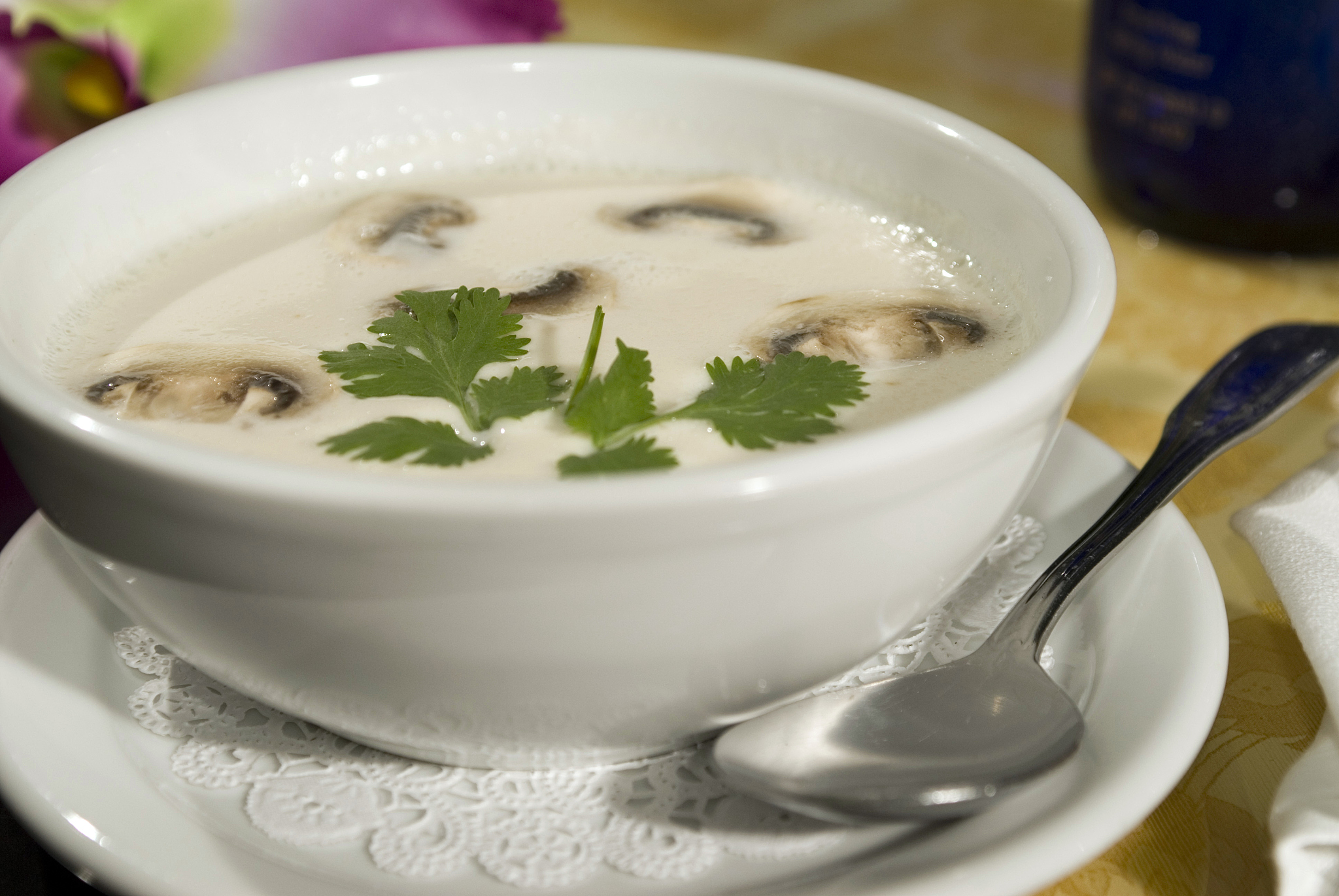 mushroom cream soup