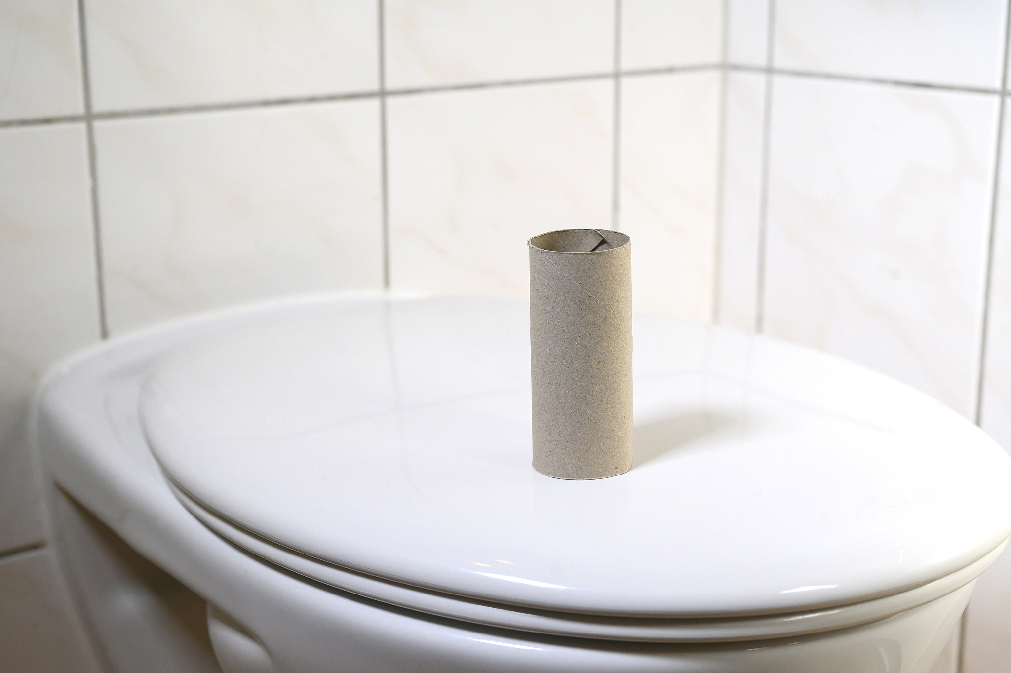 finished toilet paper roll on the toilet.
