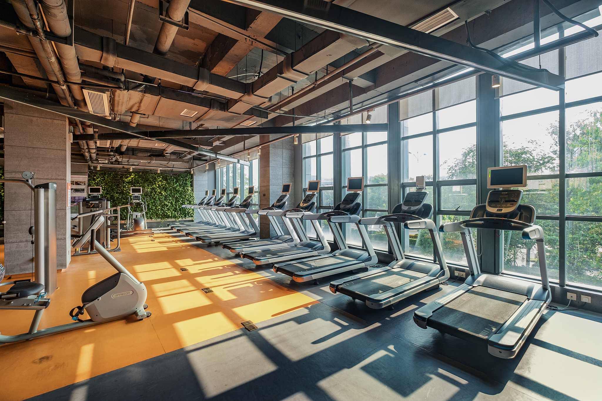 高端健身品牌名称为顽熊健身需要策划20条广告语