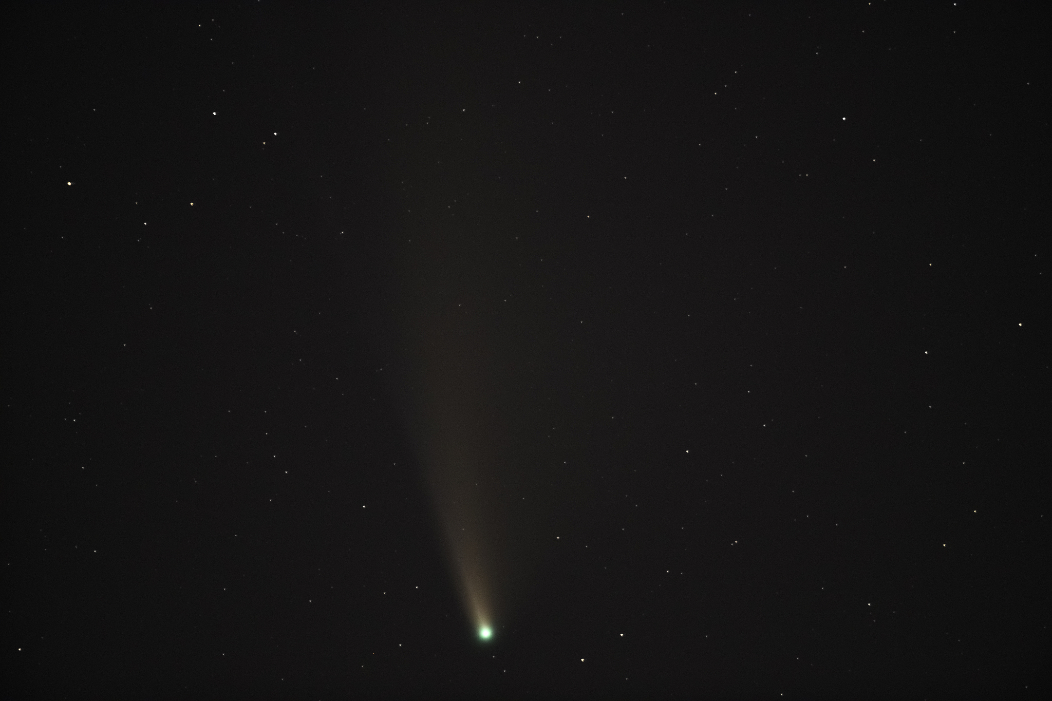 comet neowise in the dark night sky