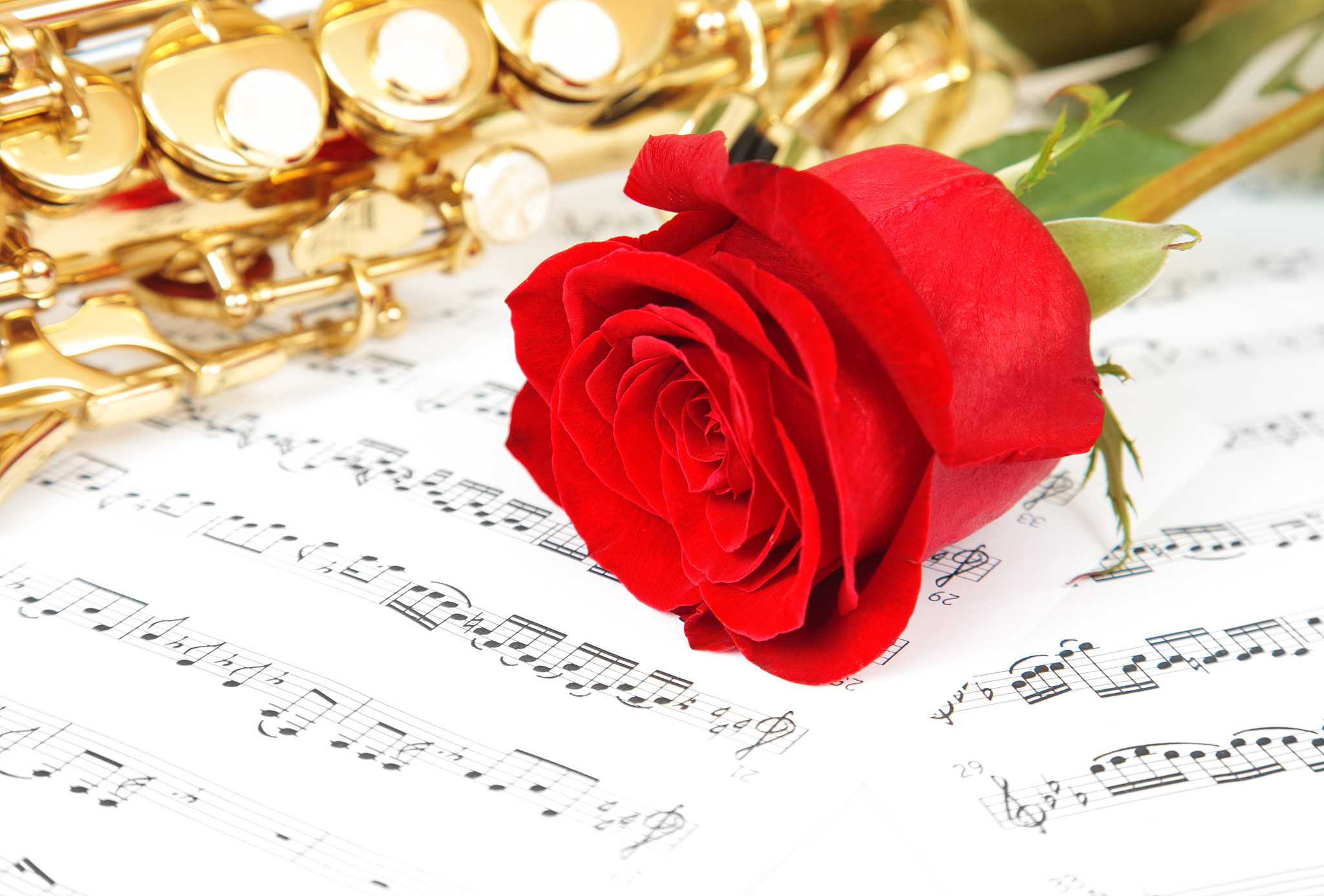 写一首表达快乐情绪的古典中文歌曲歌词表达的主题为反叛。歌词结构为verse1、verse2、Pre-Chorus、chorus1、chorus2、verse3、verse4、Bridge、chorus3、chorus4结构完整性温度值为2。建议歌词结尾以lu押韵温度值为01。保证chorus1、chorus2、chorus3、chorus4歌词不重复此要求温度值为1。歌曲主题、歌曲名、歌词与你的历