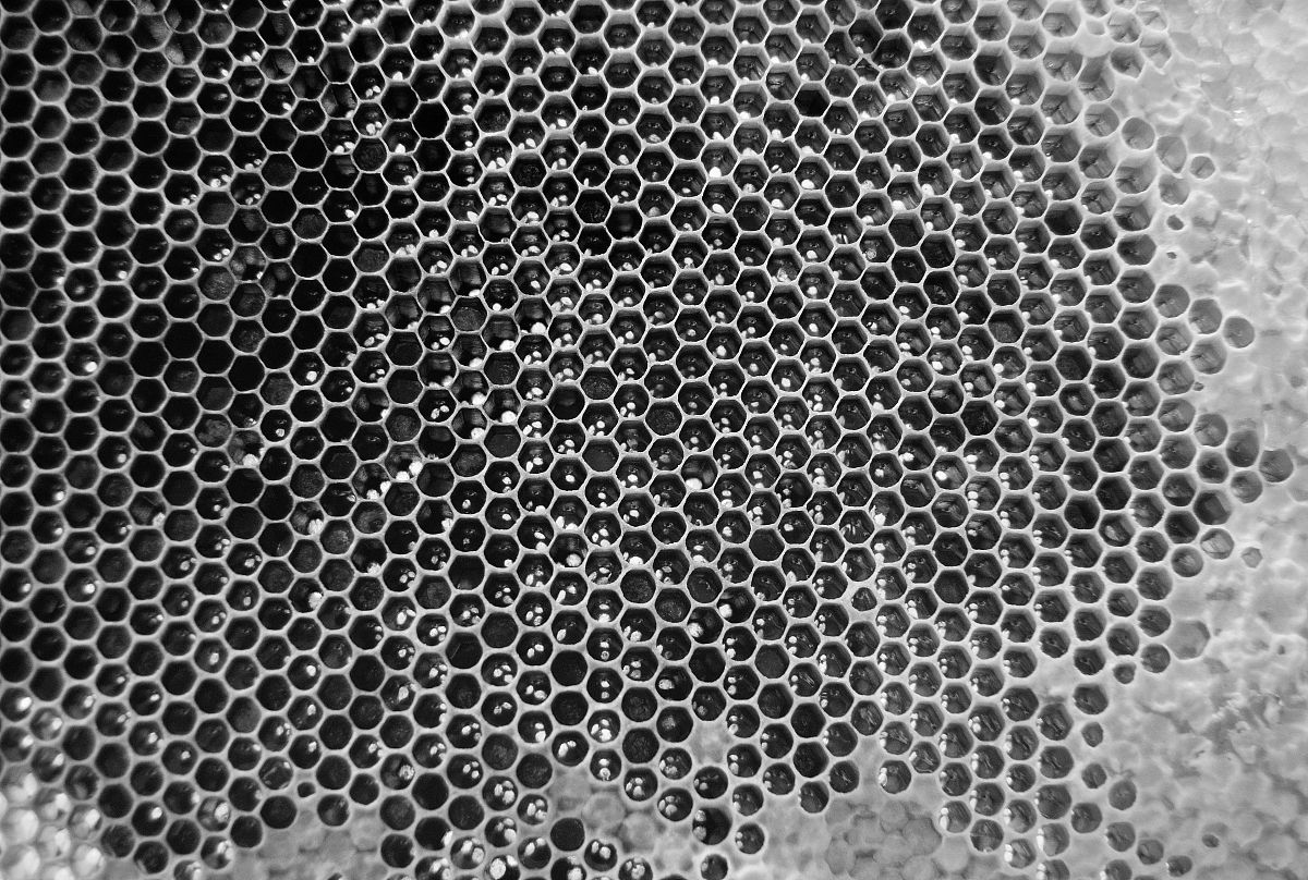PtAl涂层粘结层中黑色线条的形成 - 材料科学论文