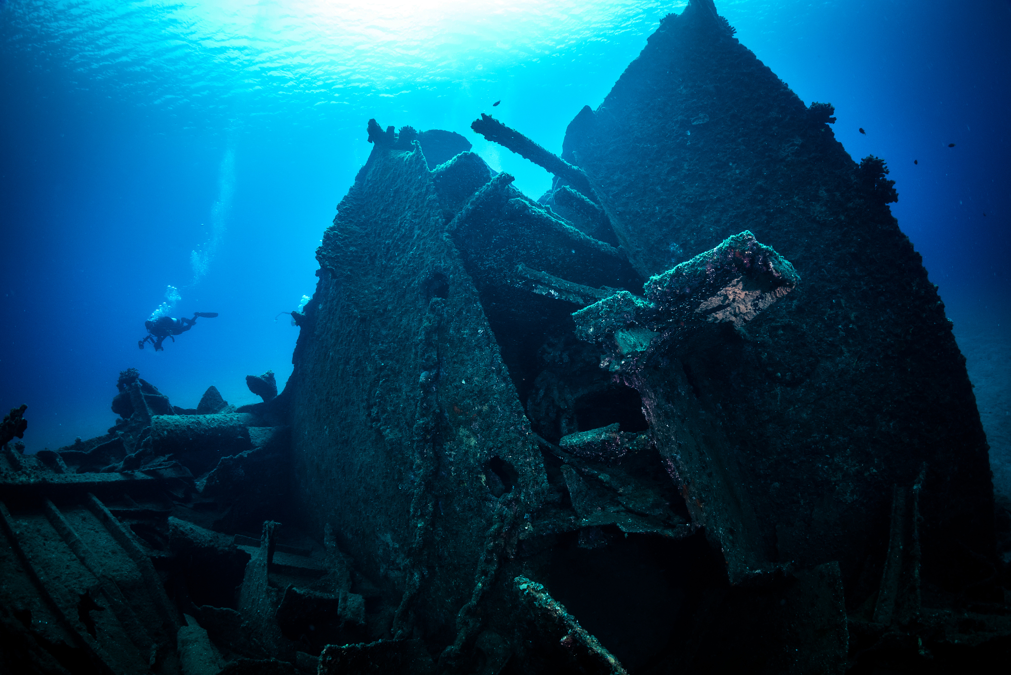 man scuba diving in sea